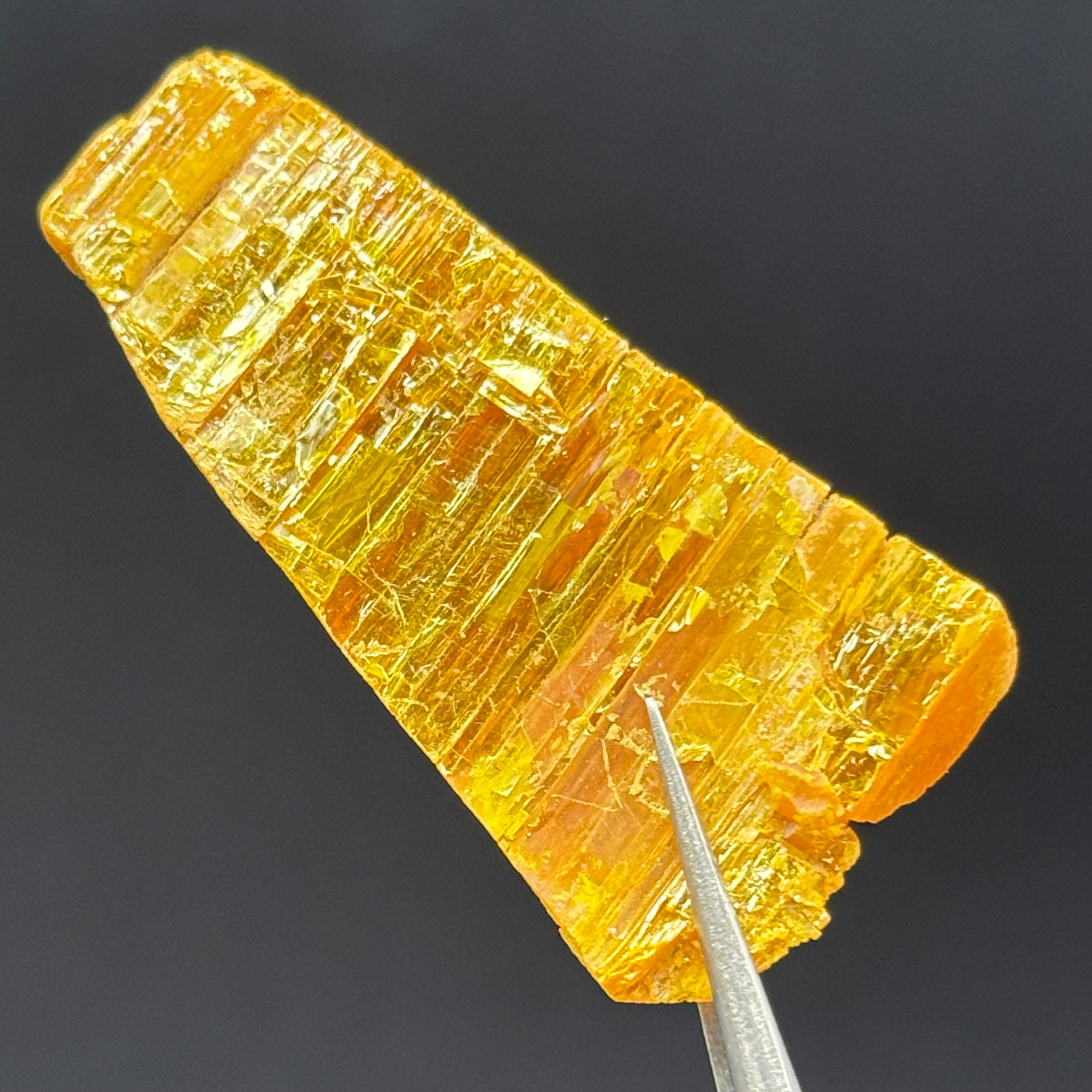 Siberian Orpiment - 048