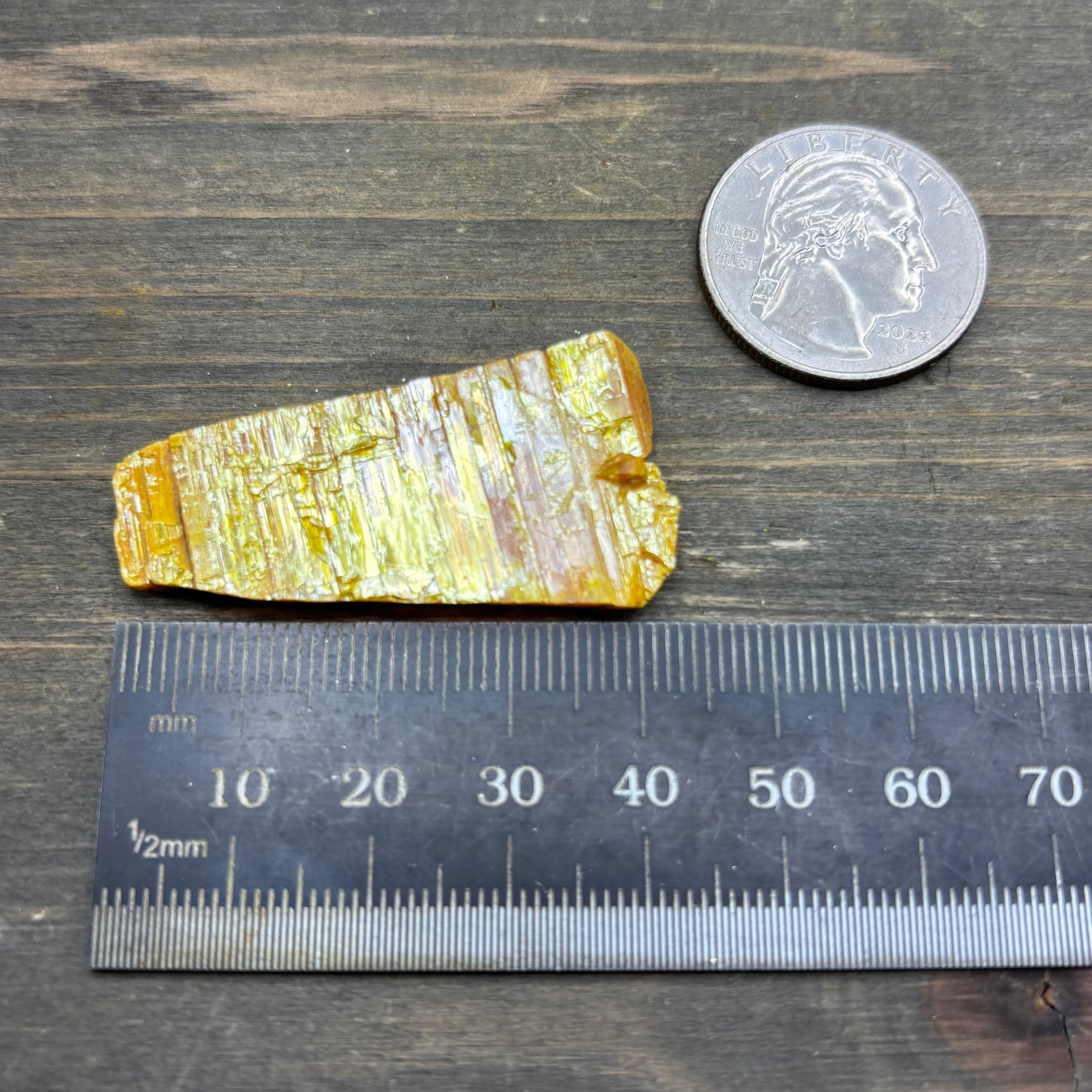 Siberian Orpiment - 048