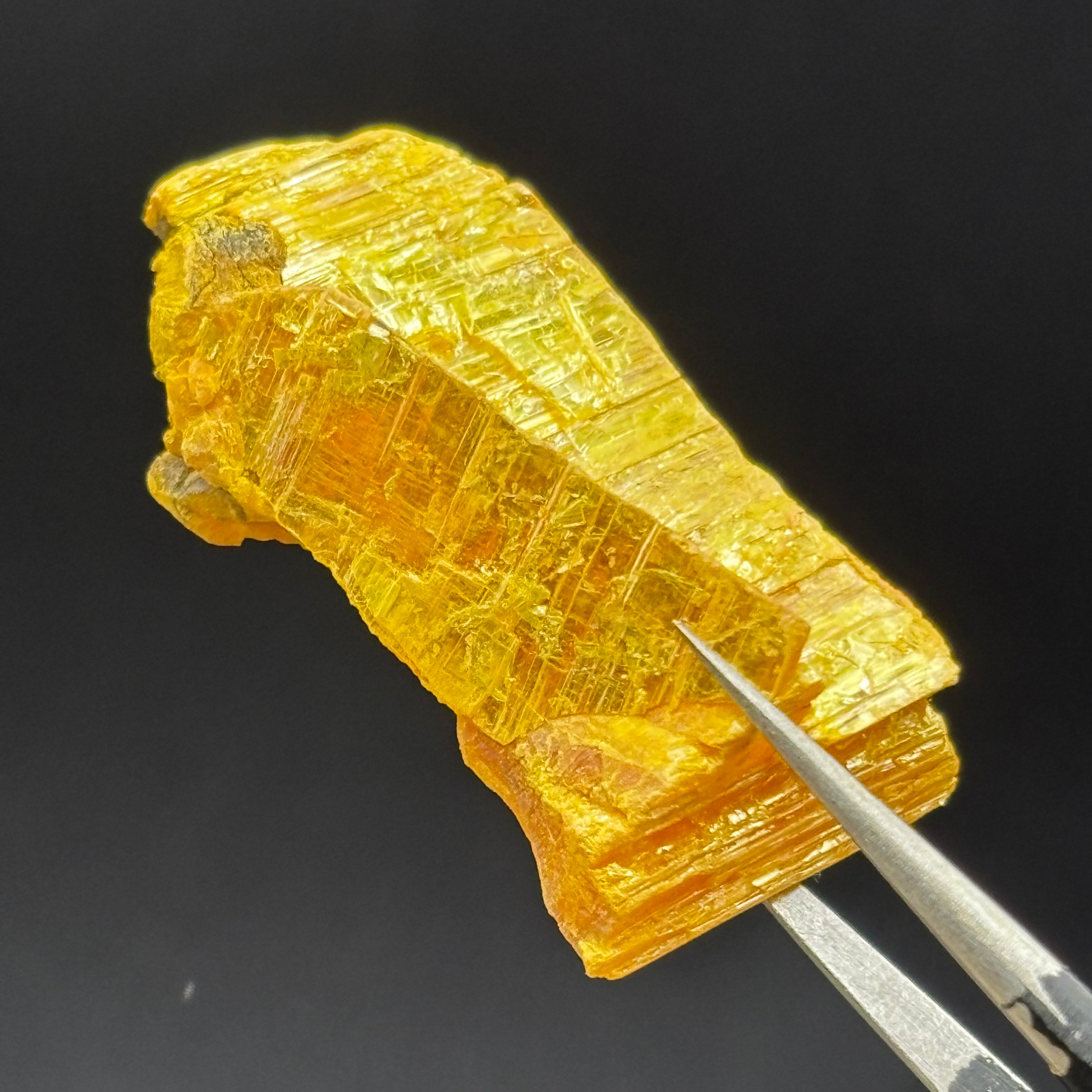 Siberian Orpiment - 049