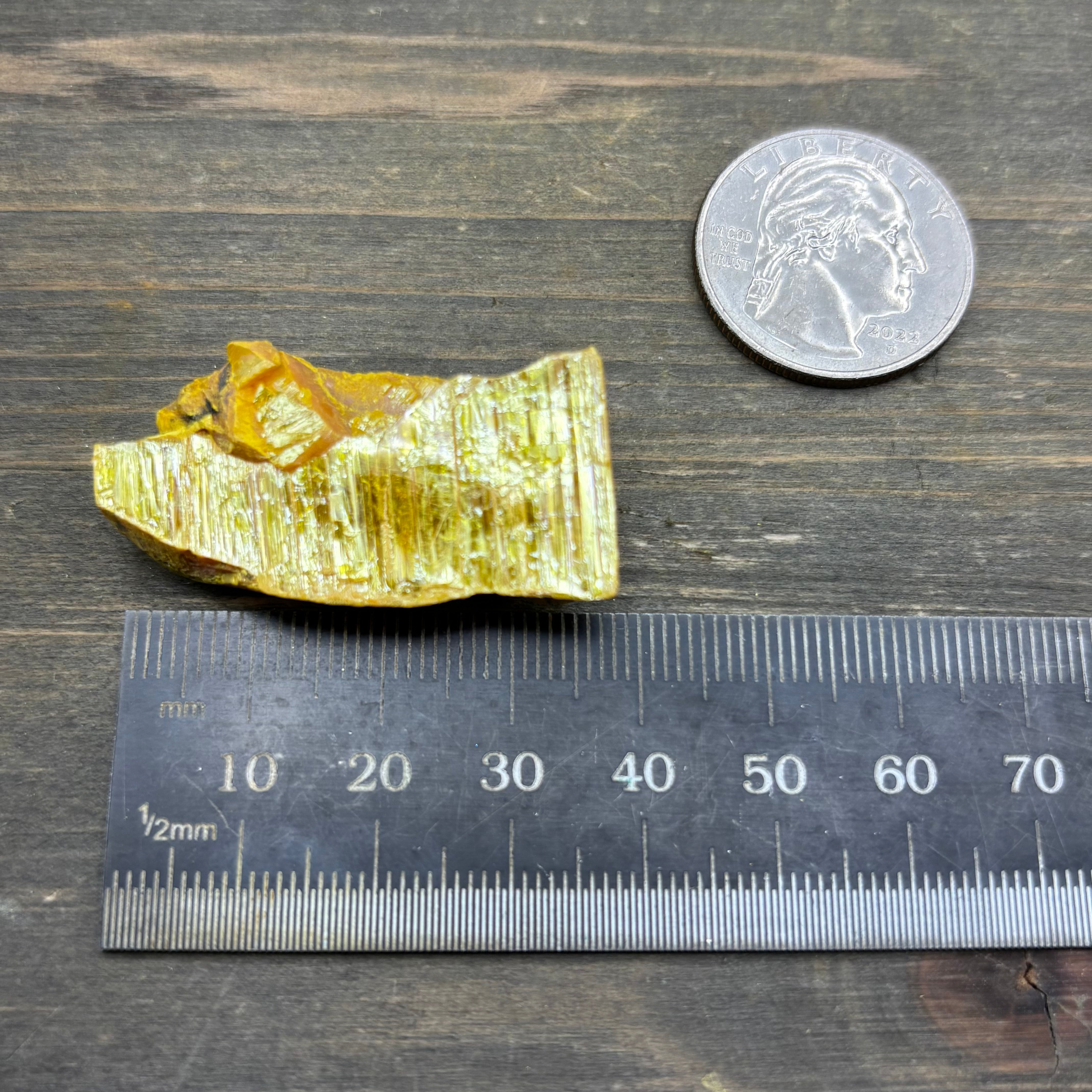 Siberian Orpiment - 049