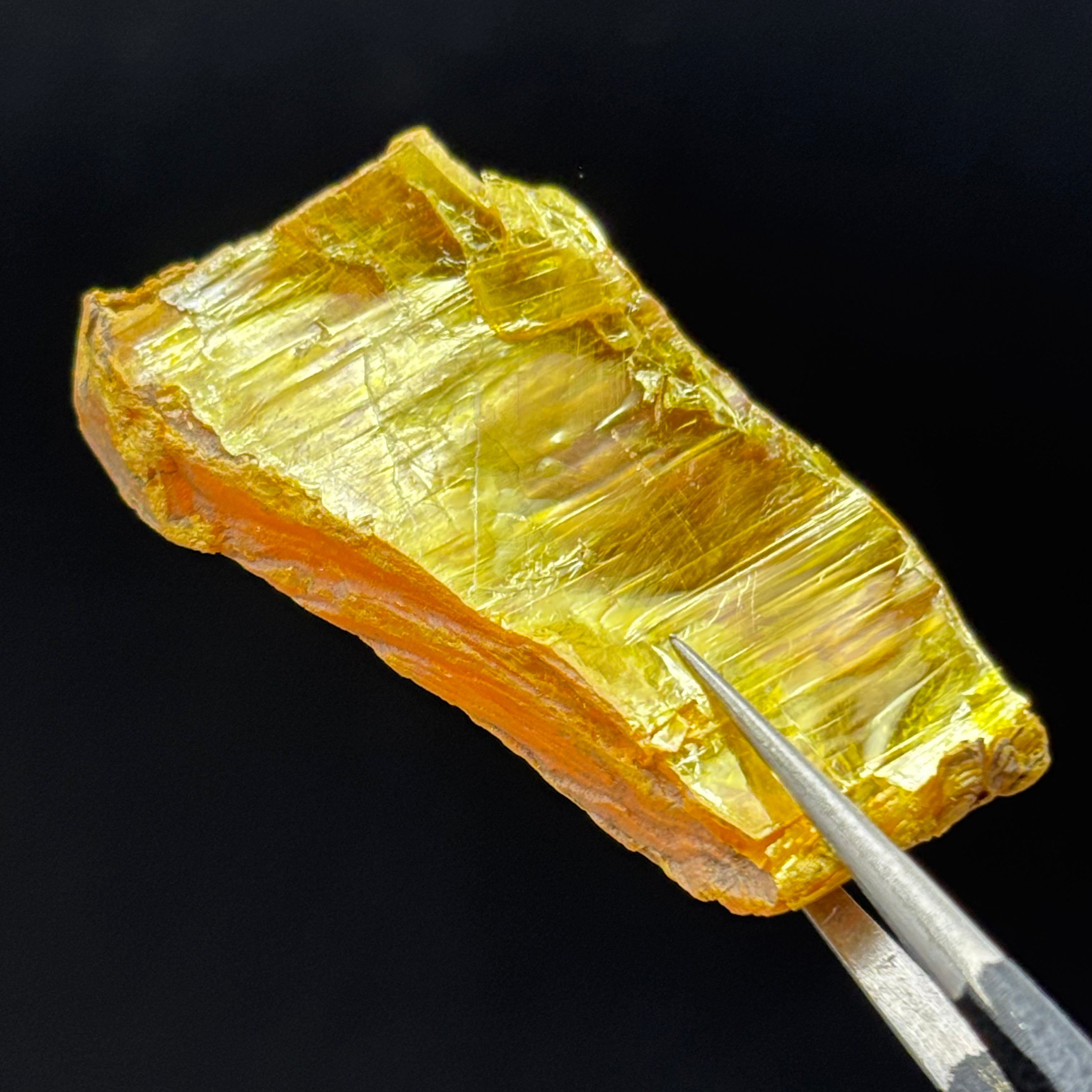 Siberian Orpiment - 051