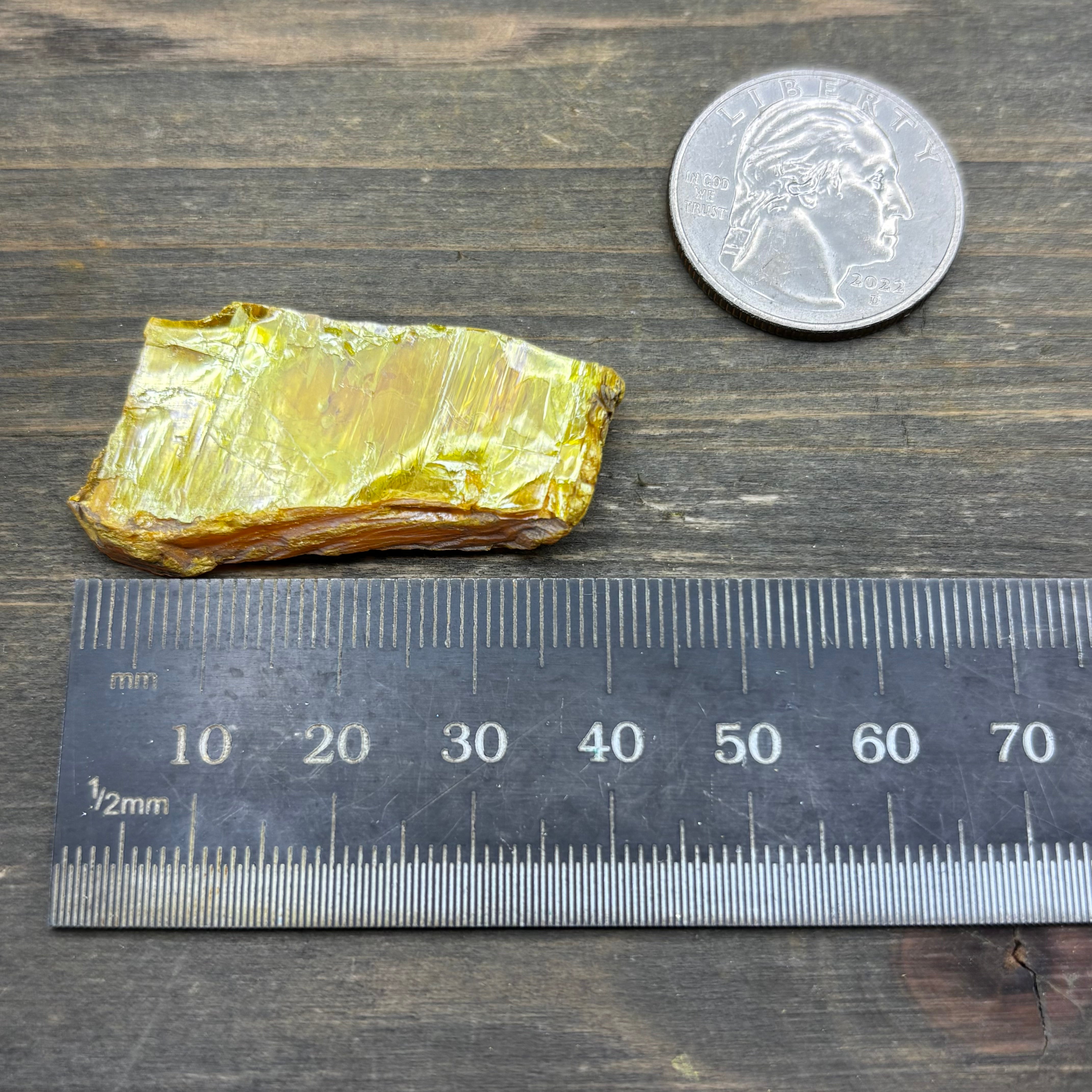 Siberian Orpiment - 051