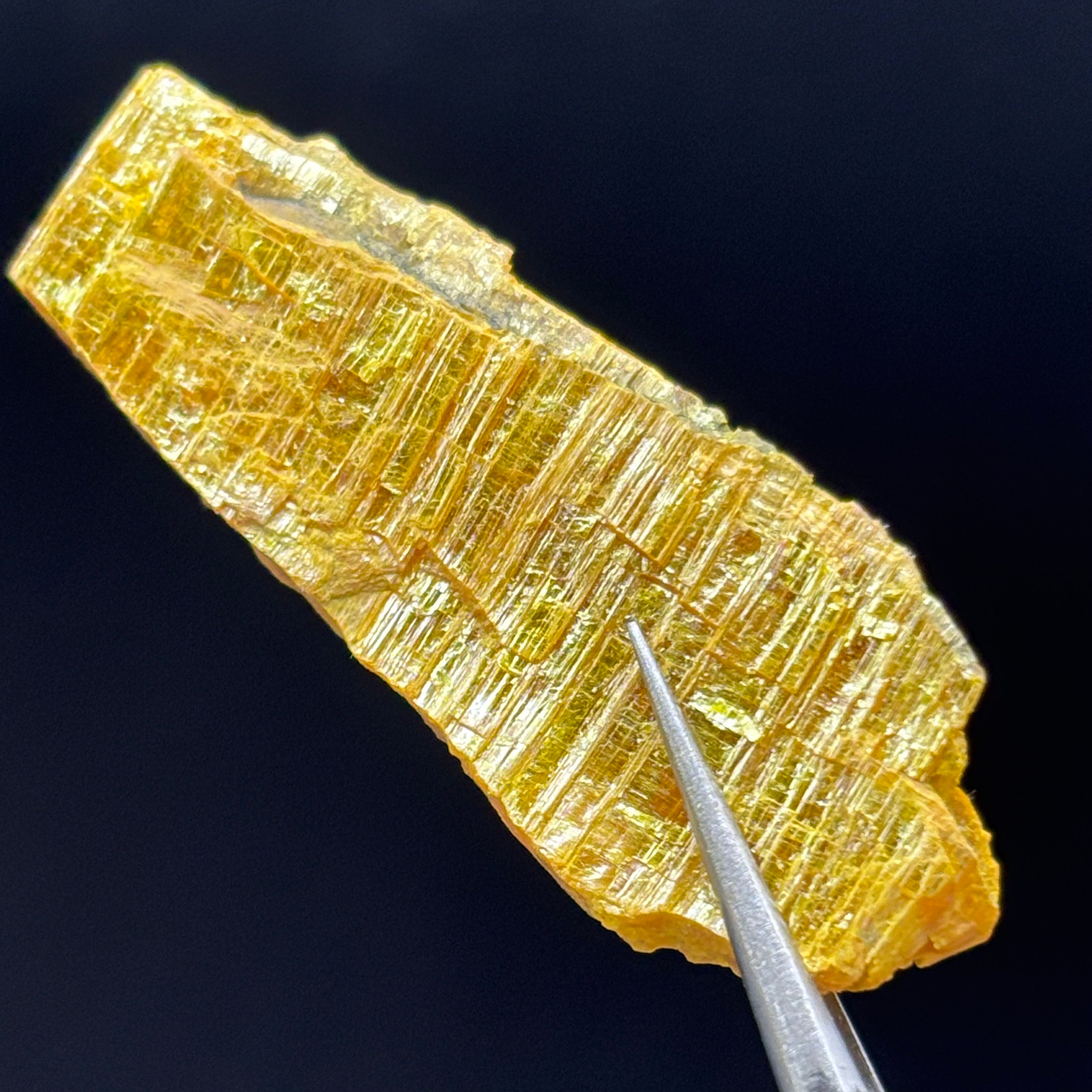 Siberian Orpiment - 053