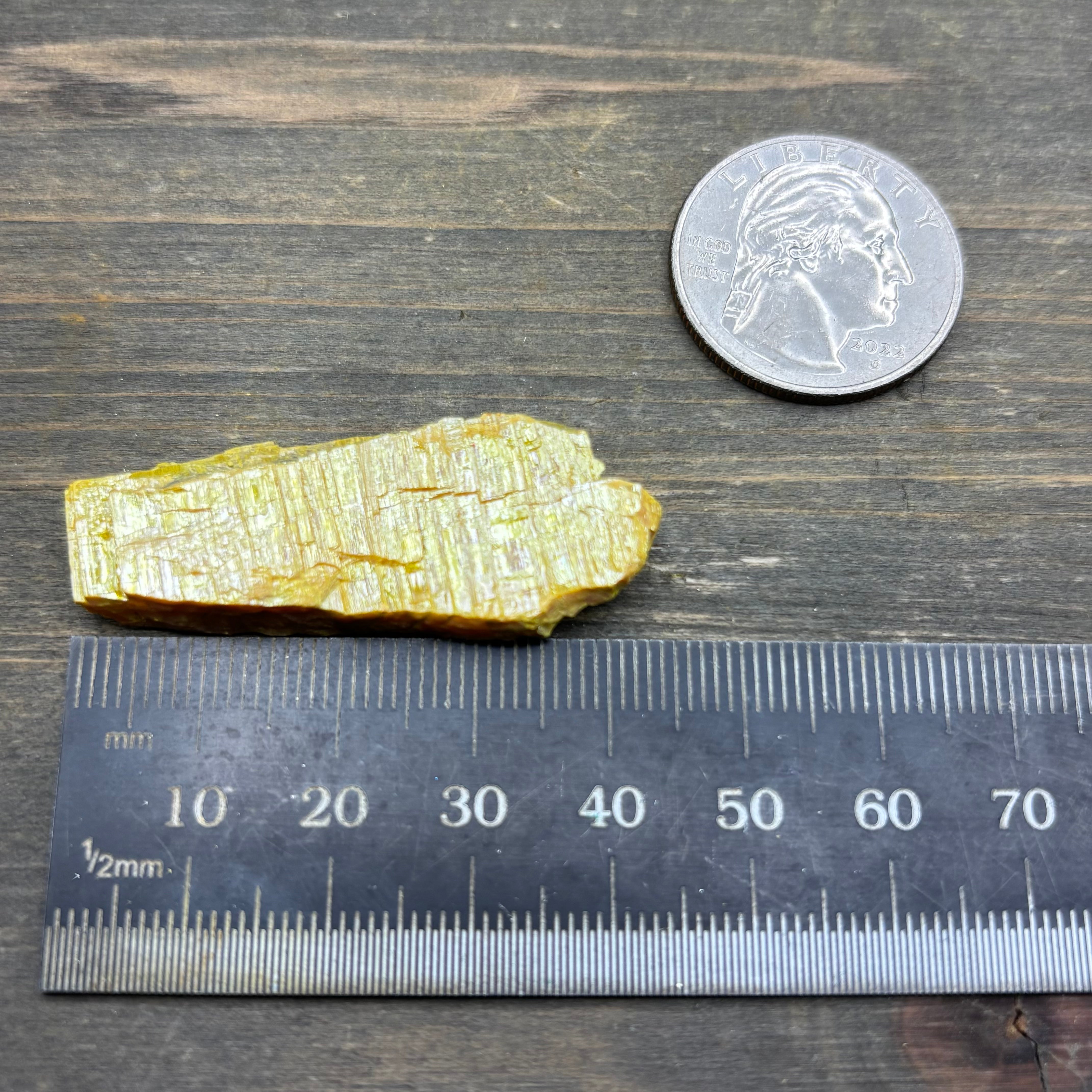 Siberian Orpiment - 053