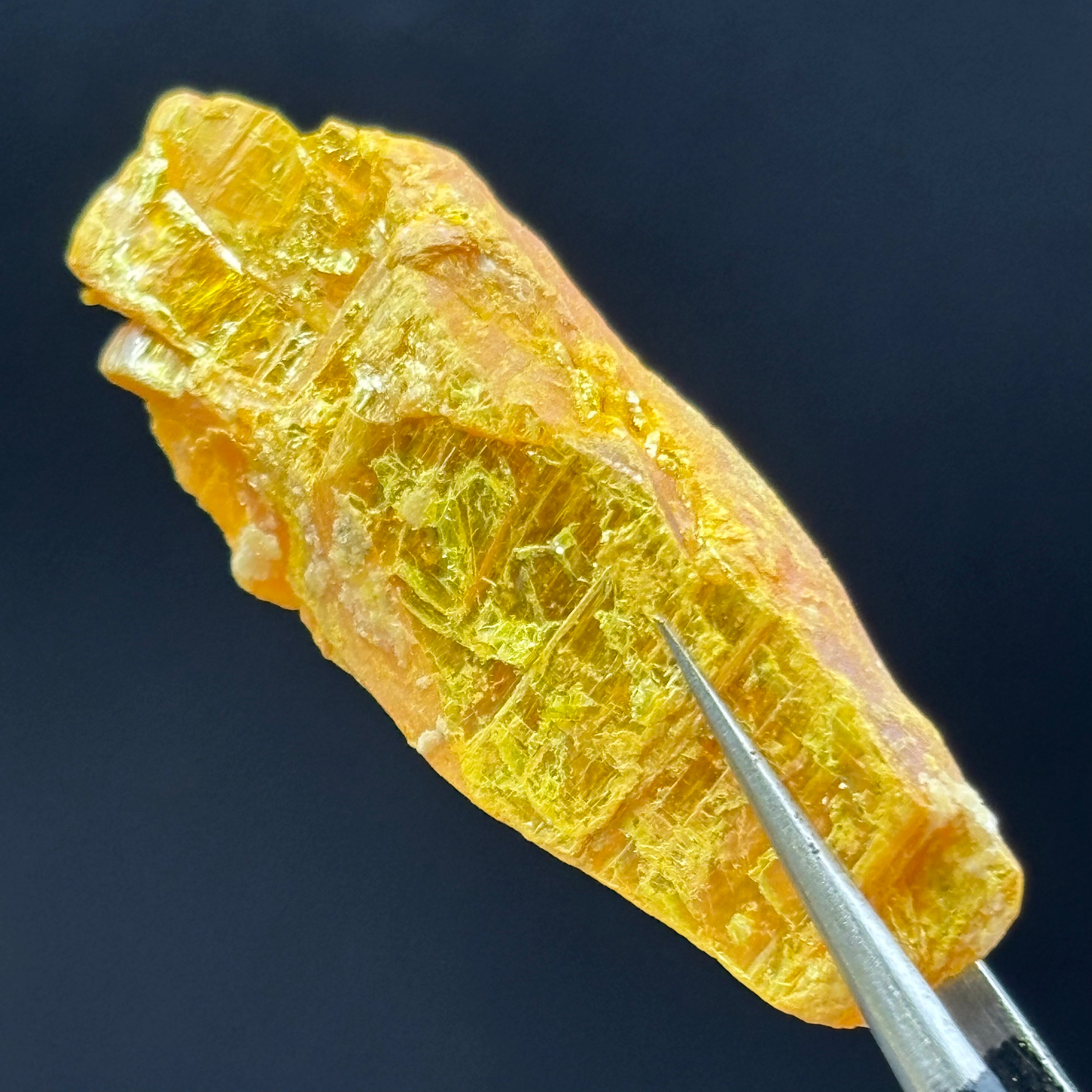 Siberian Orpiment - 054