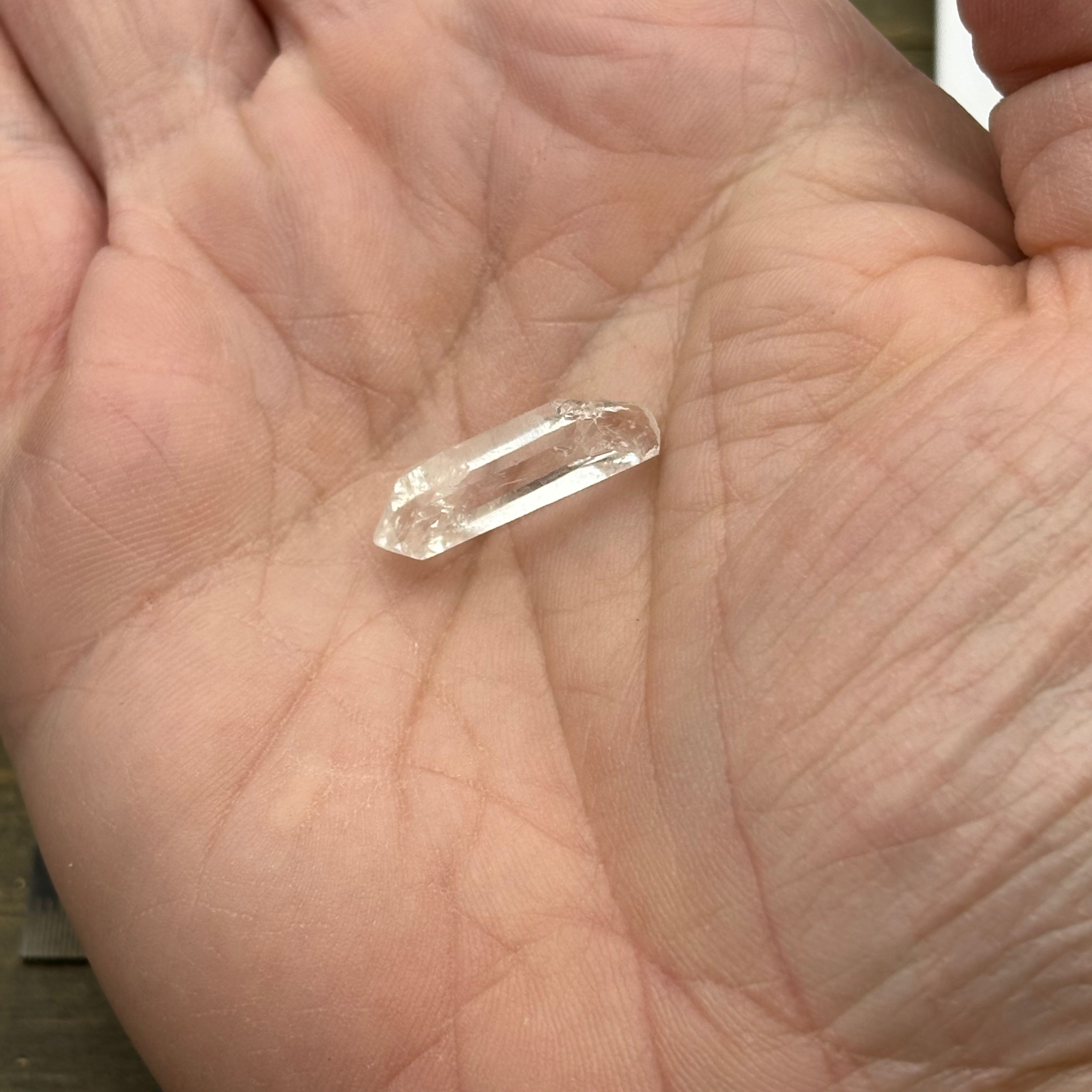 Himalayan Master Healer - 161