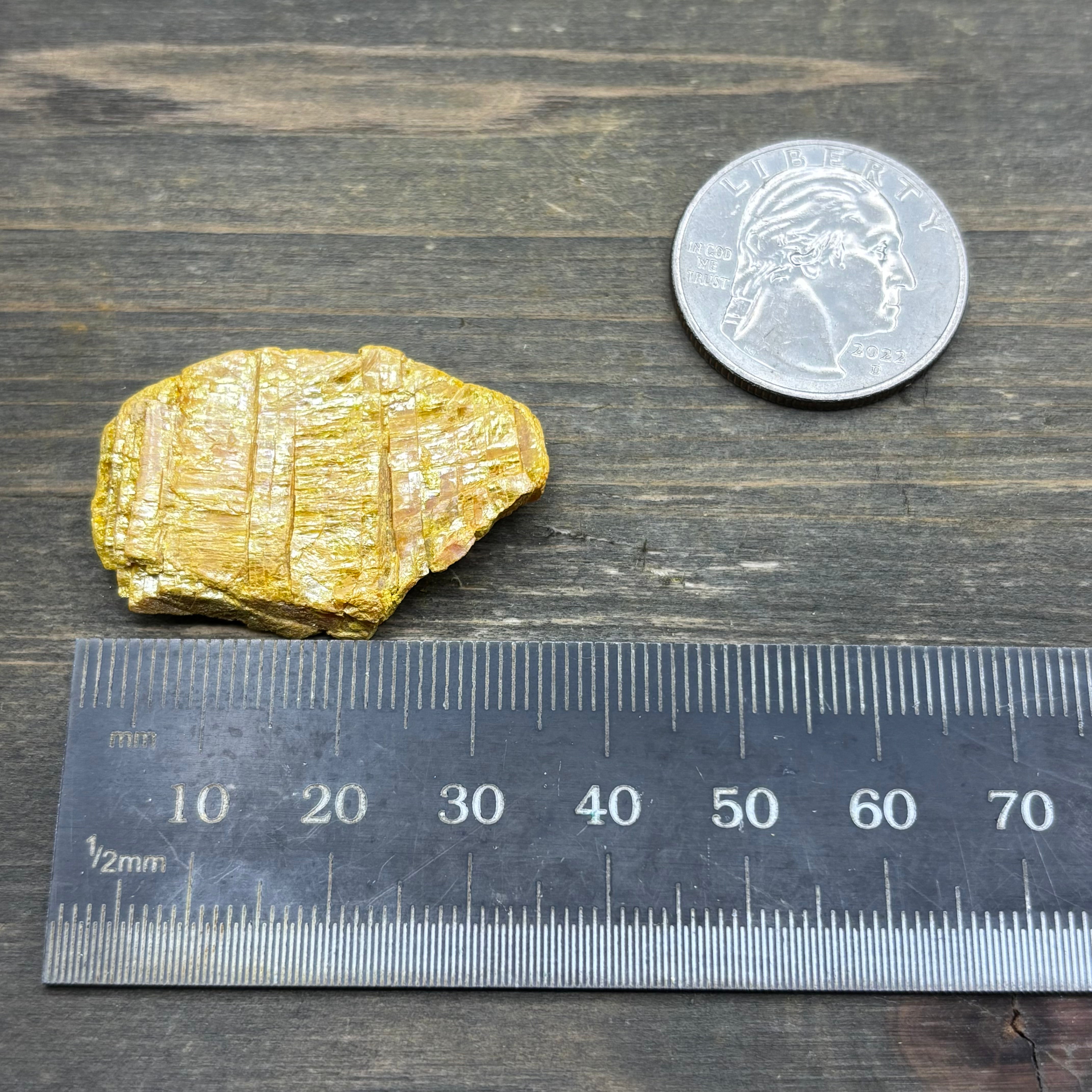 Siberian Orpiment - 056