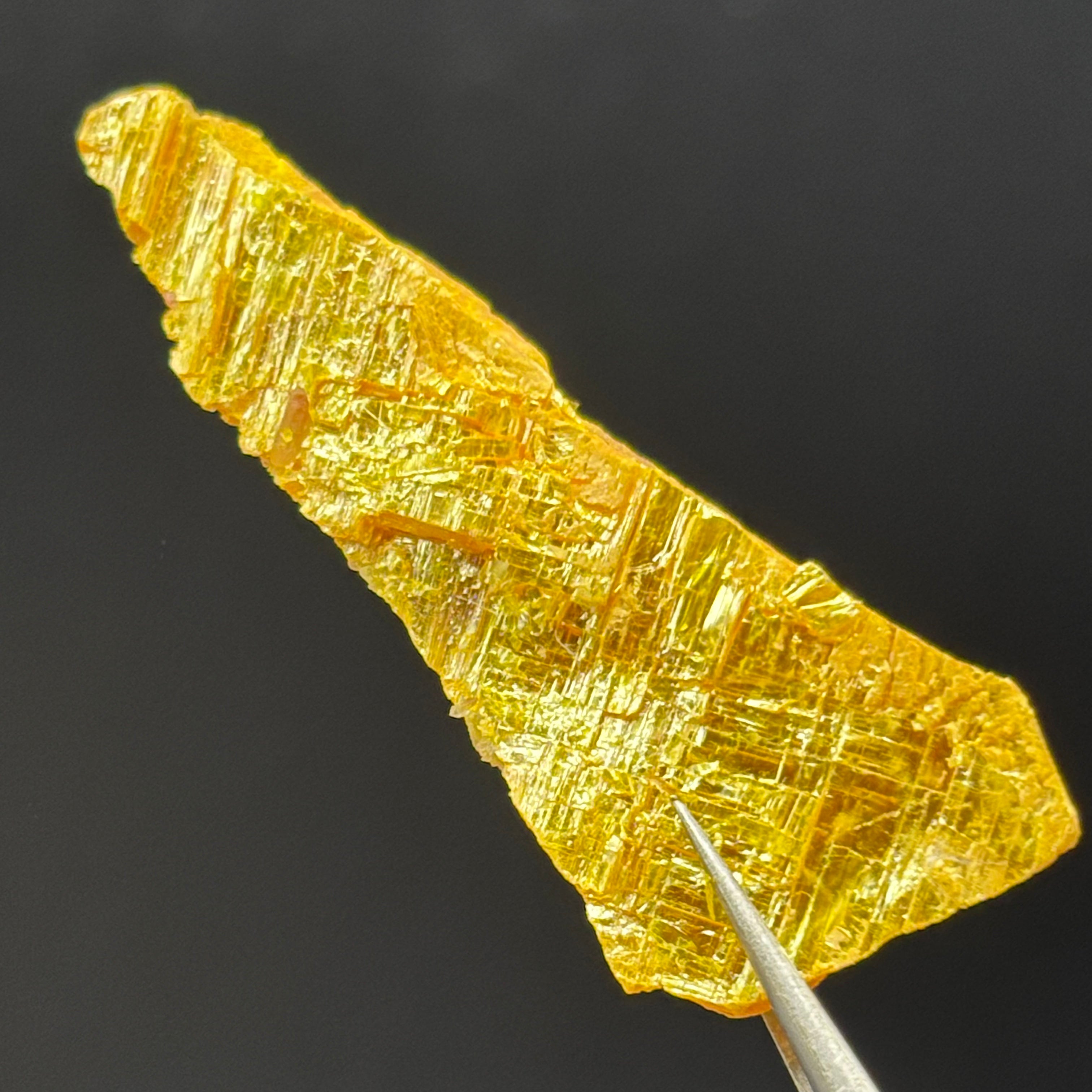 Siberian Orpiment - 058
