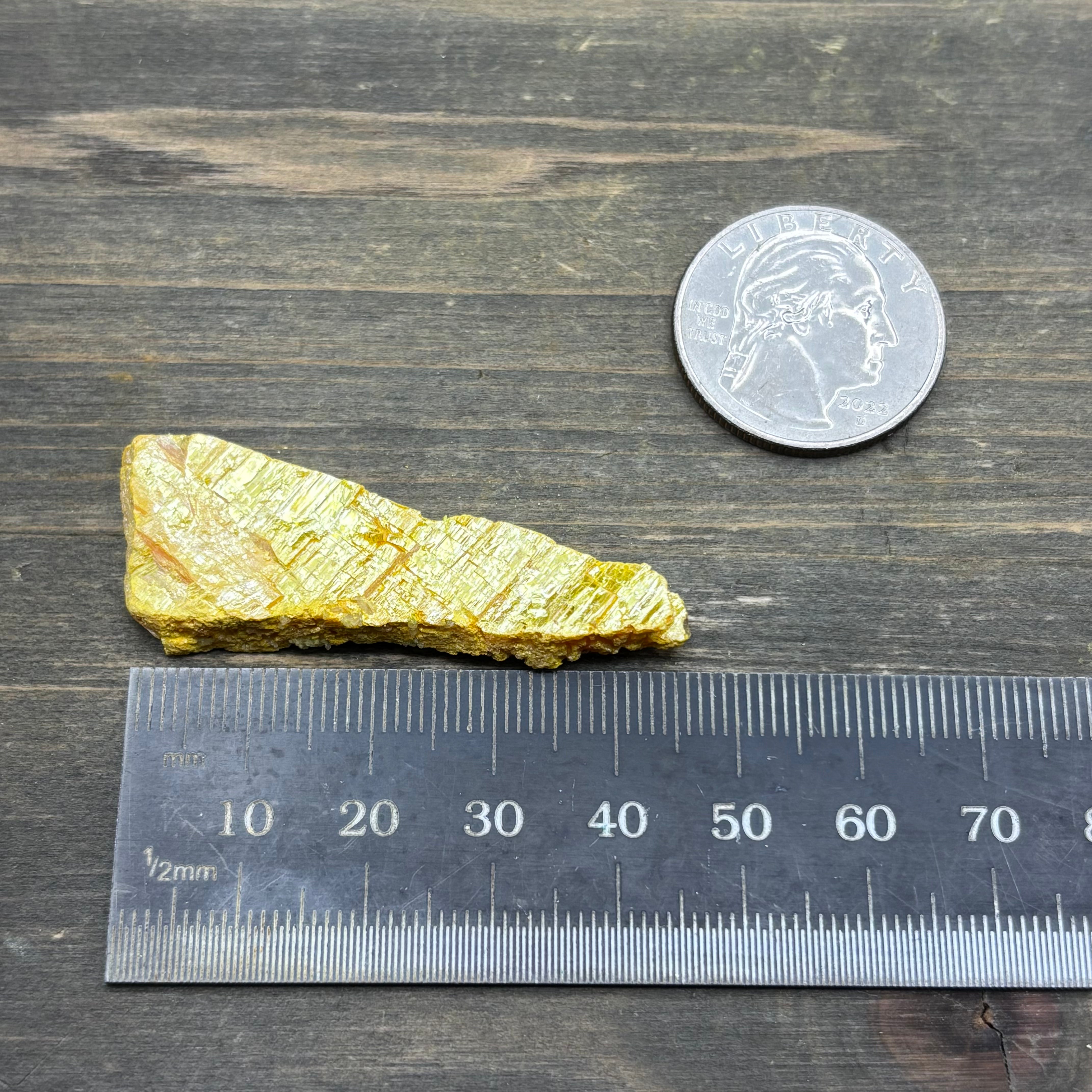 Siberian Orpiment - 058