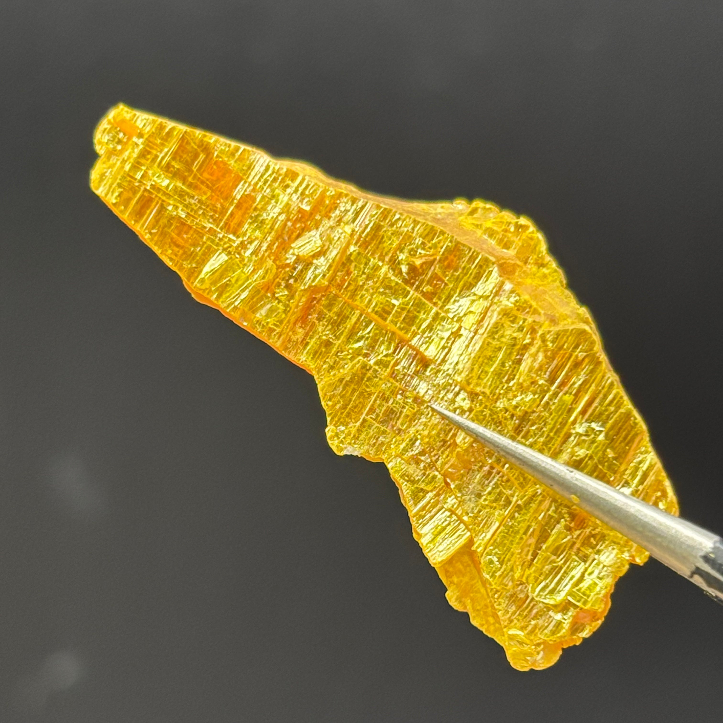 Siberian Orpiment - 059