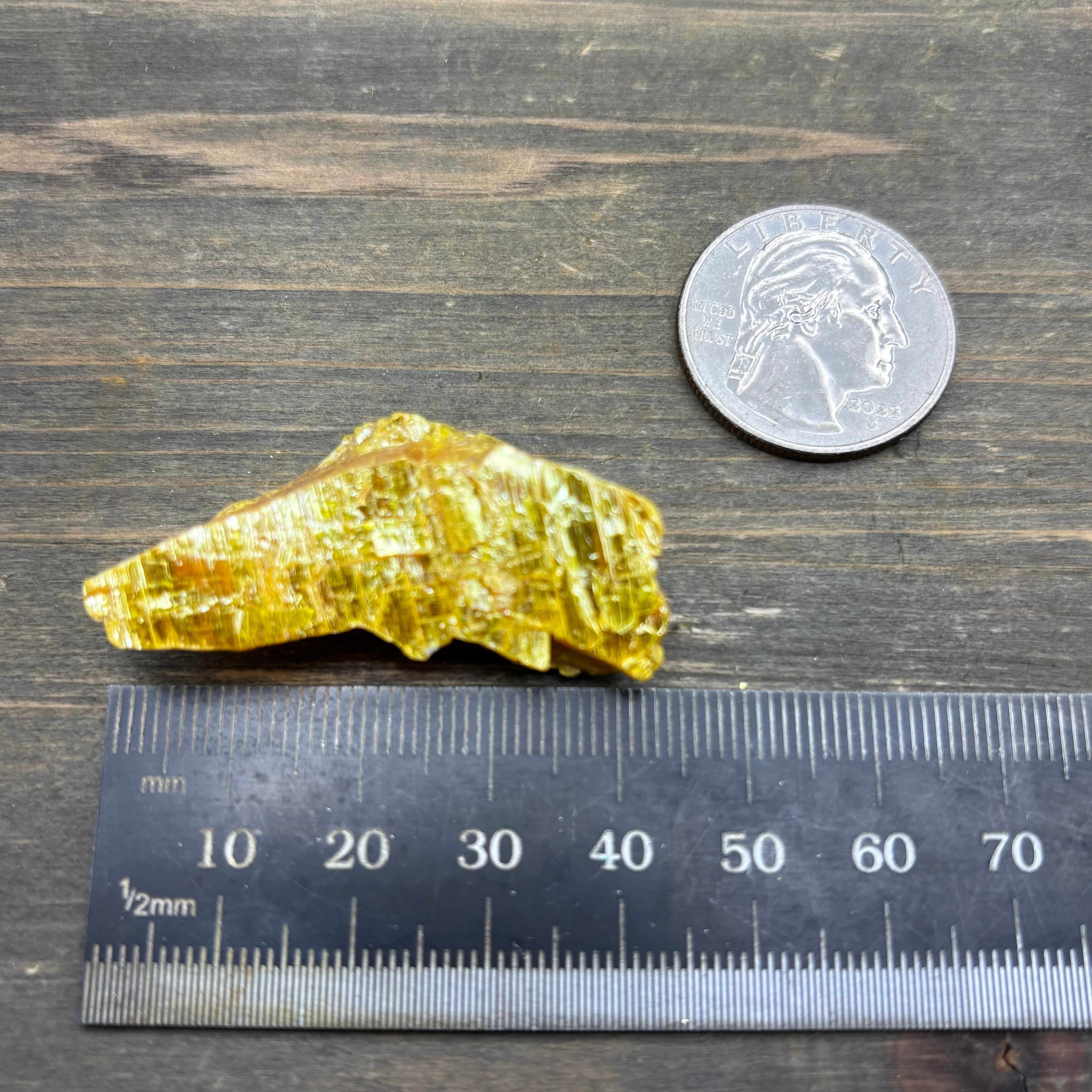 Siberian Orpiment - 059