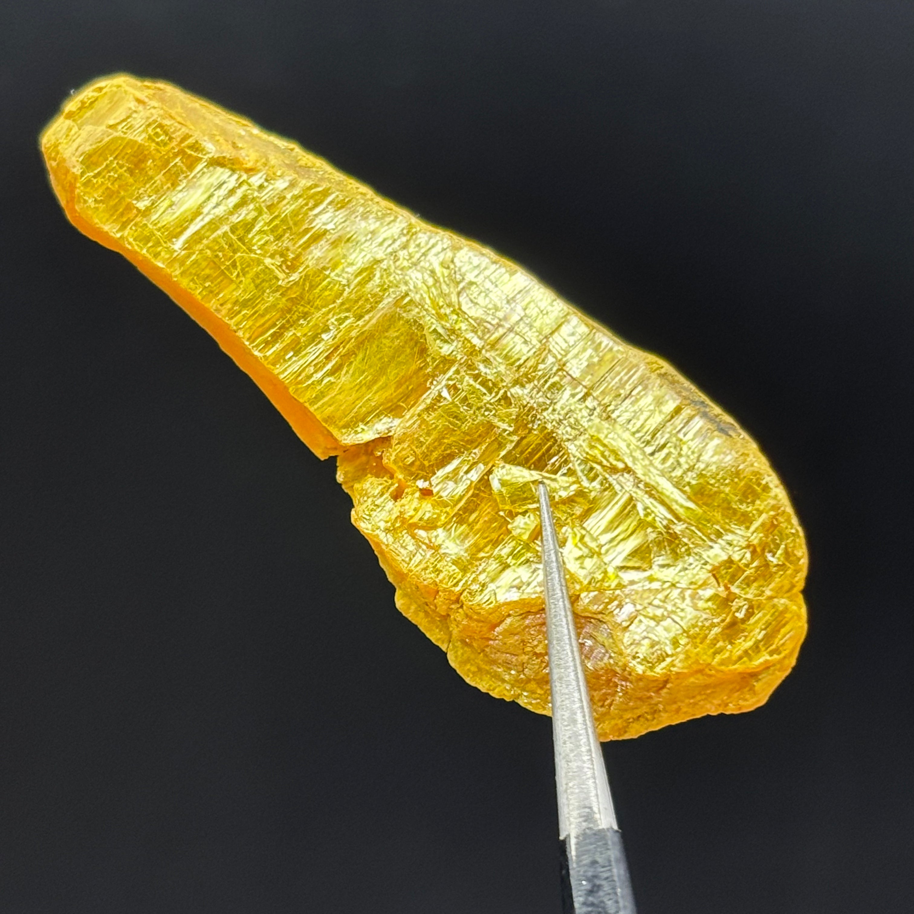 Siberian Orpiment - 060