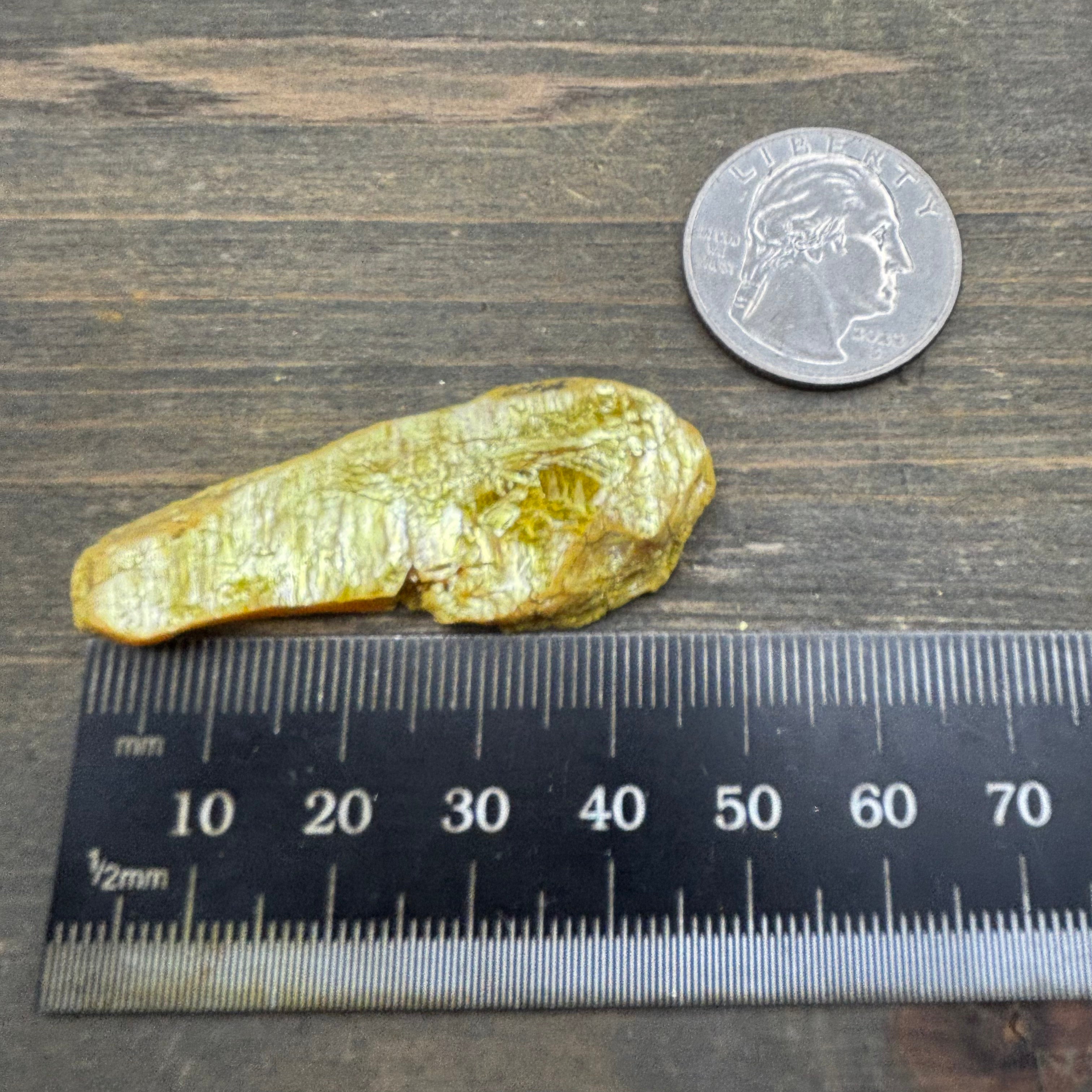 Siberian Orpiment - 060