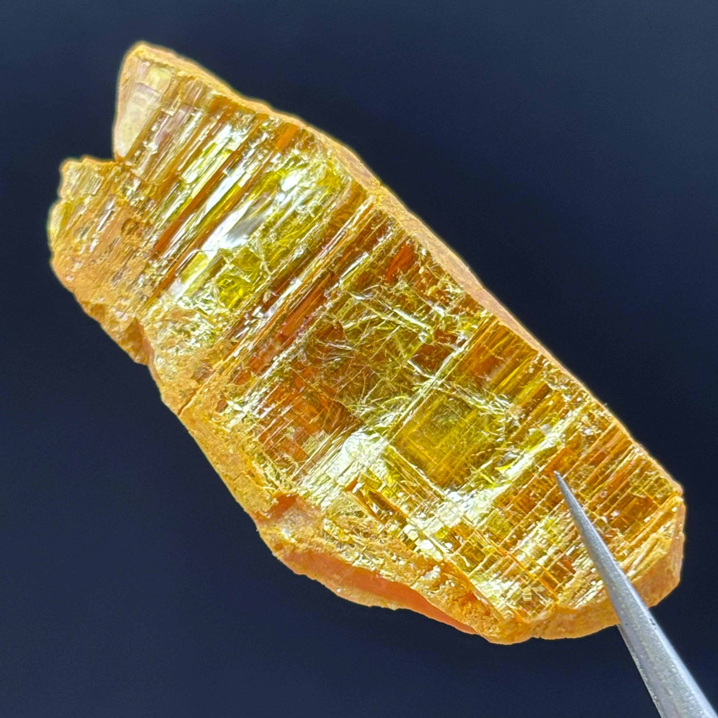 Siberian Orpiment - 061