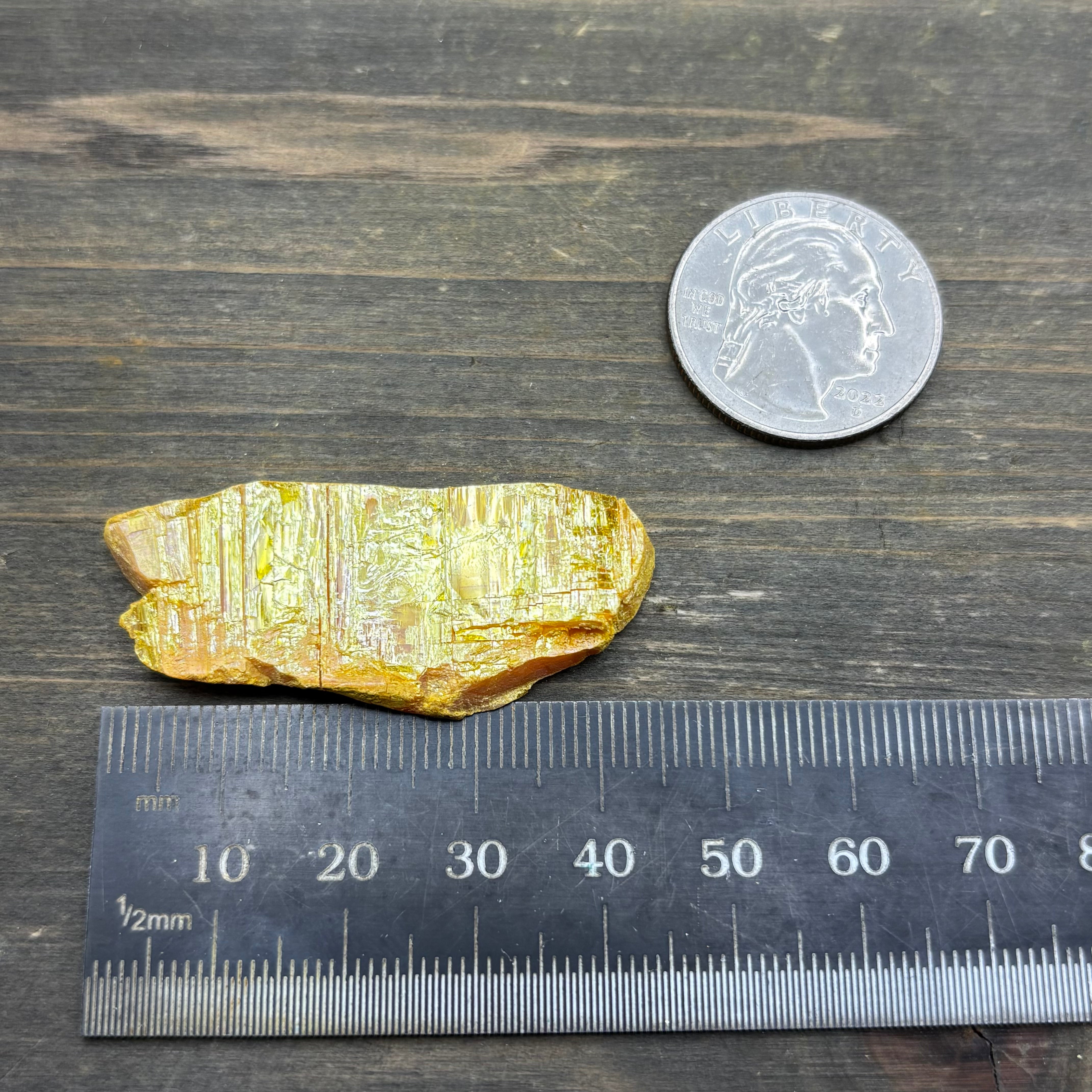 Siberian Orpiment - 061