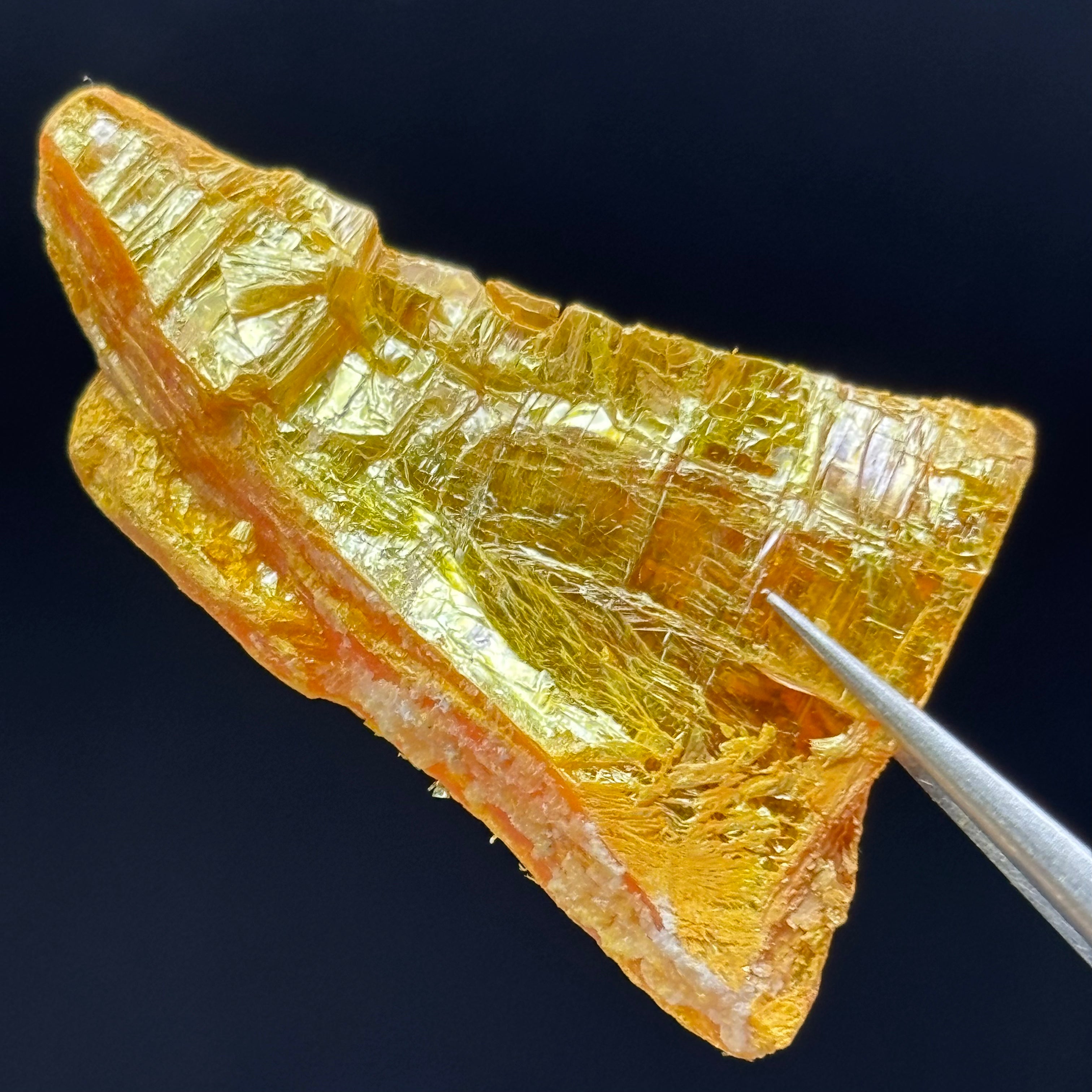 Siberian Orpiment - 062
