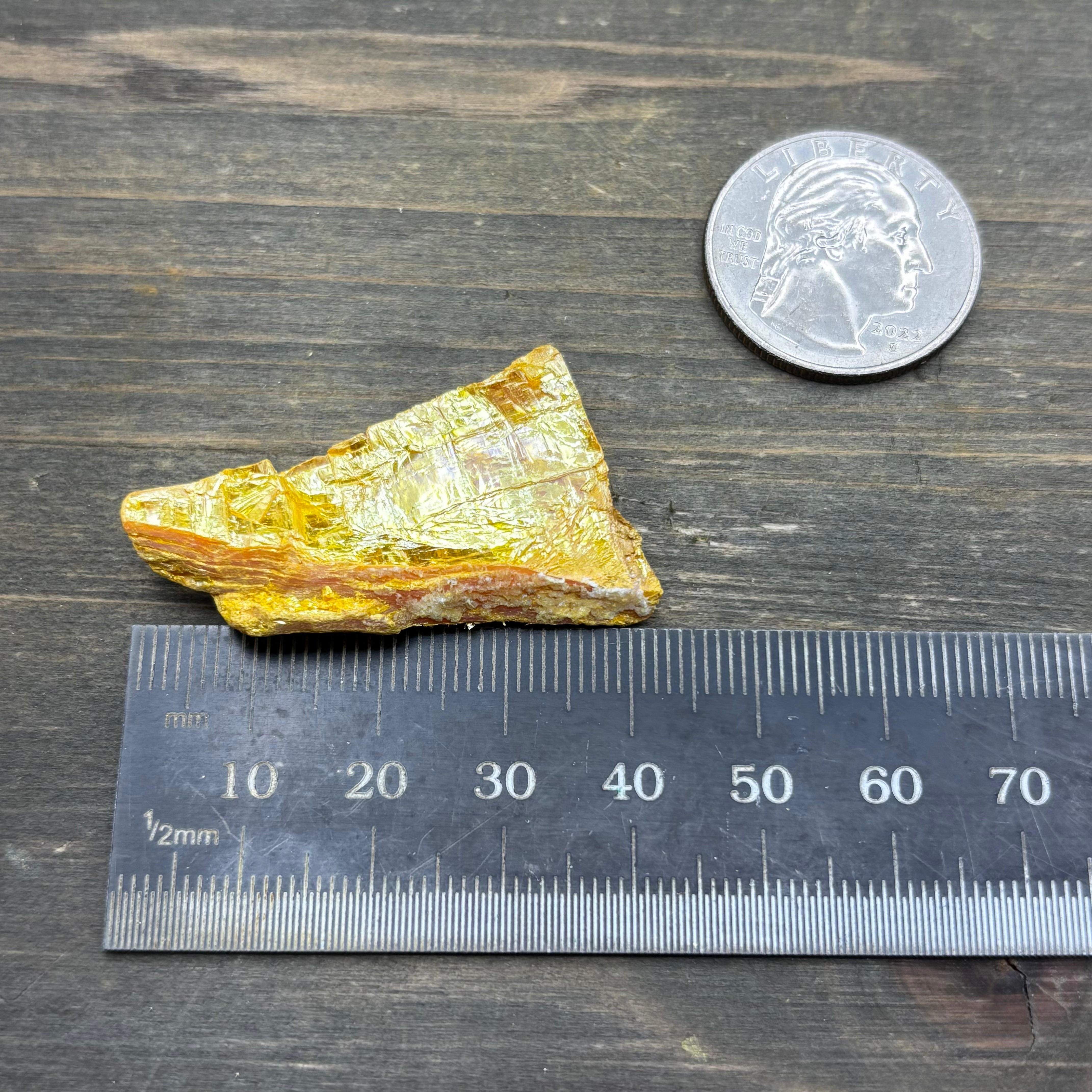 Siberian Orpiment - 062