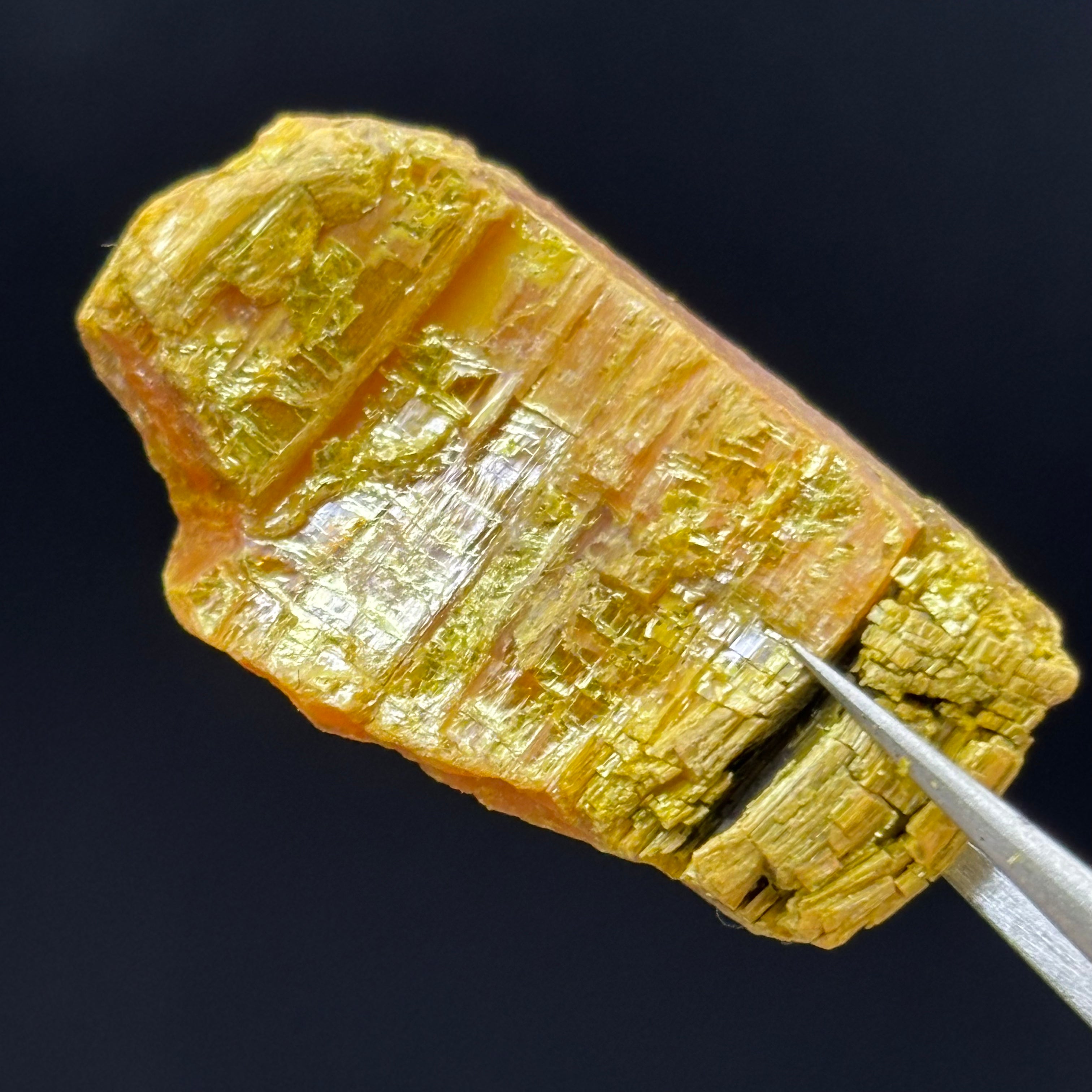 Siberian Orpiment - 063