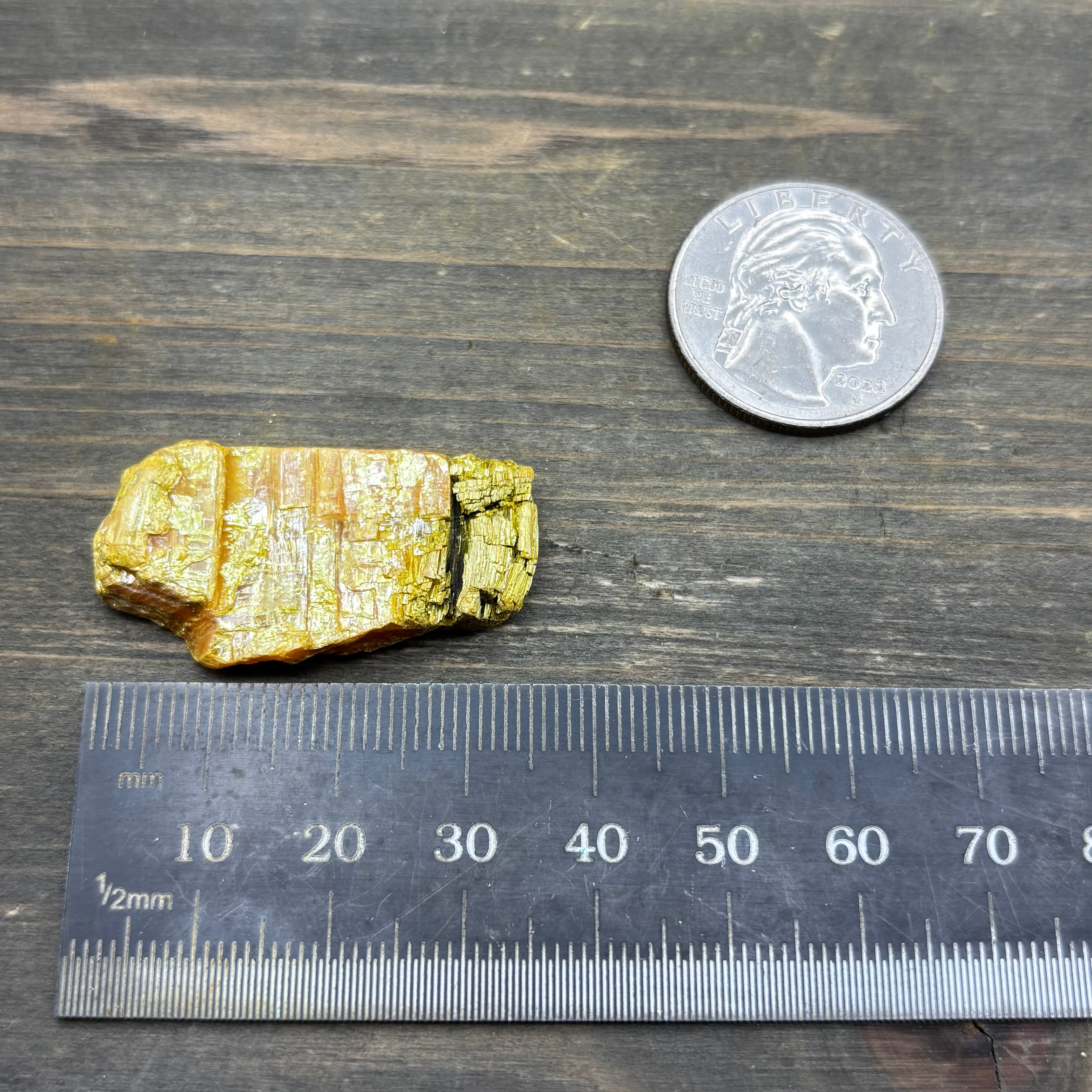 Siberian Orpiment - 063