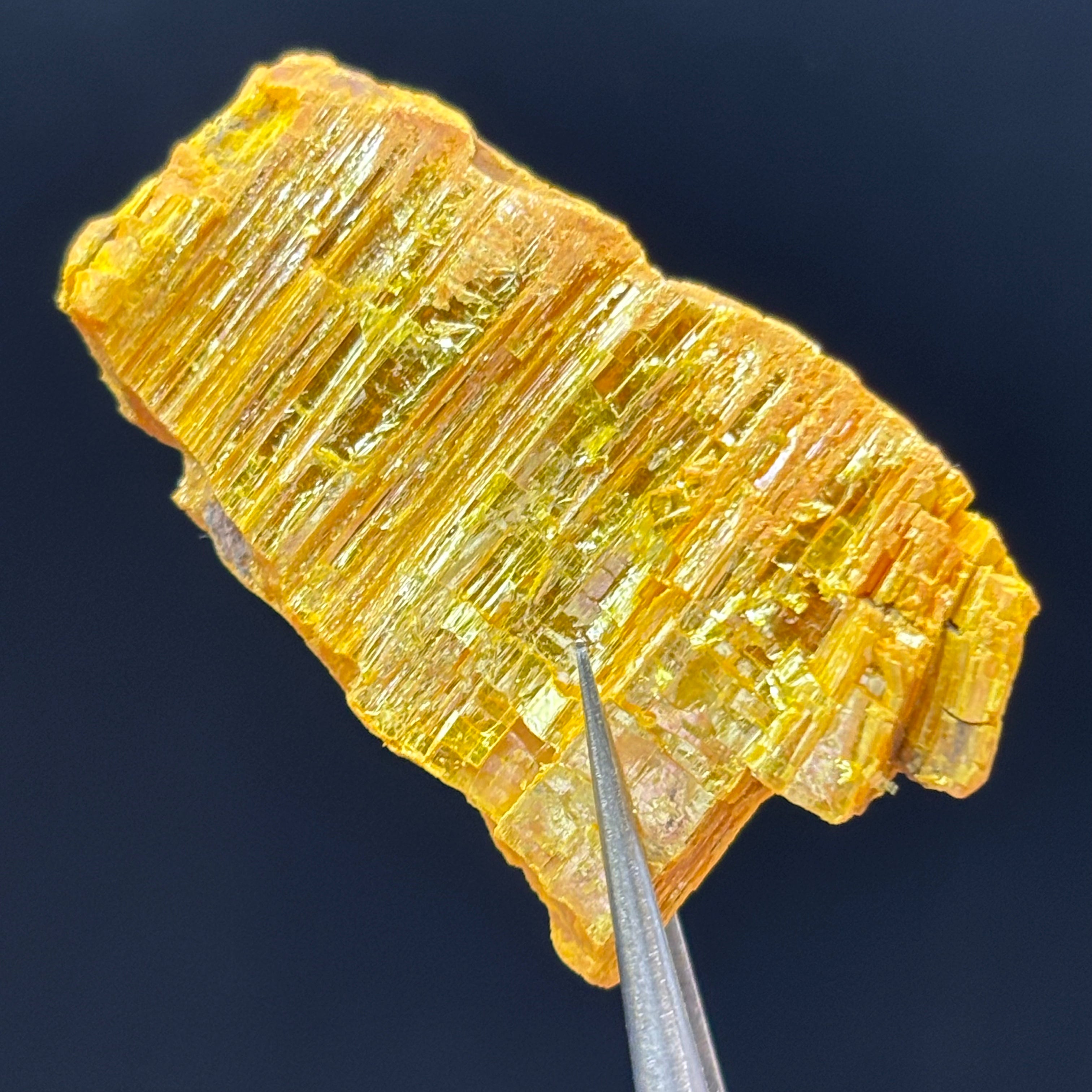 Siberian Orpiment - 064