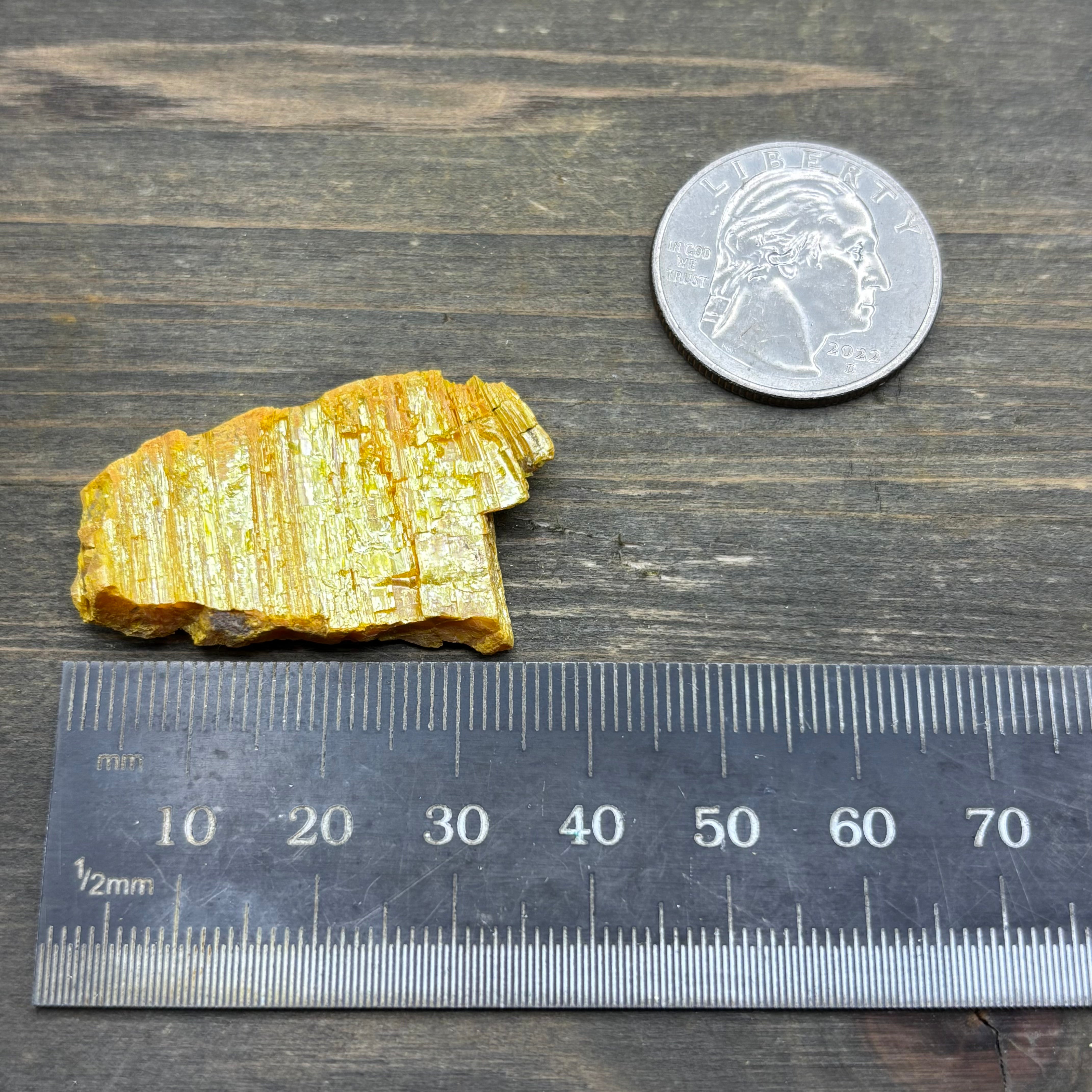 Siberian Orpiment - 064