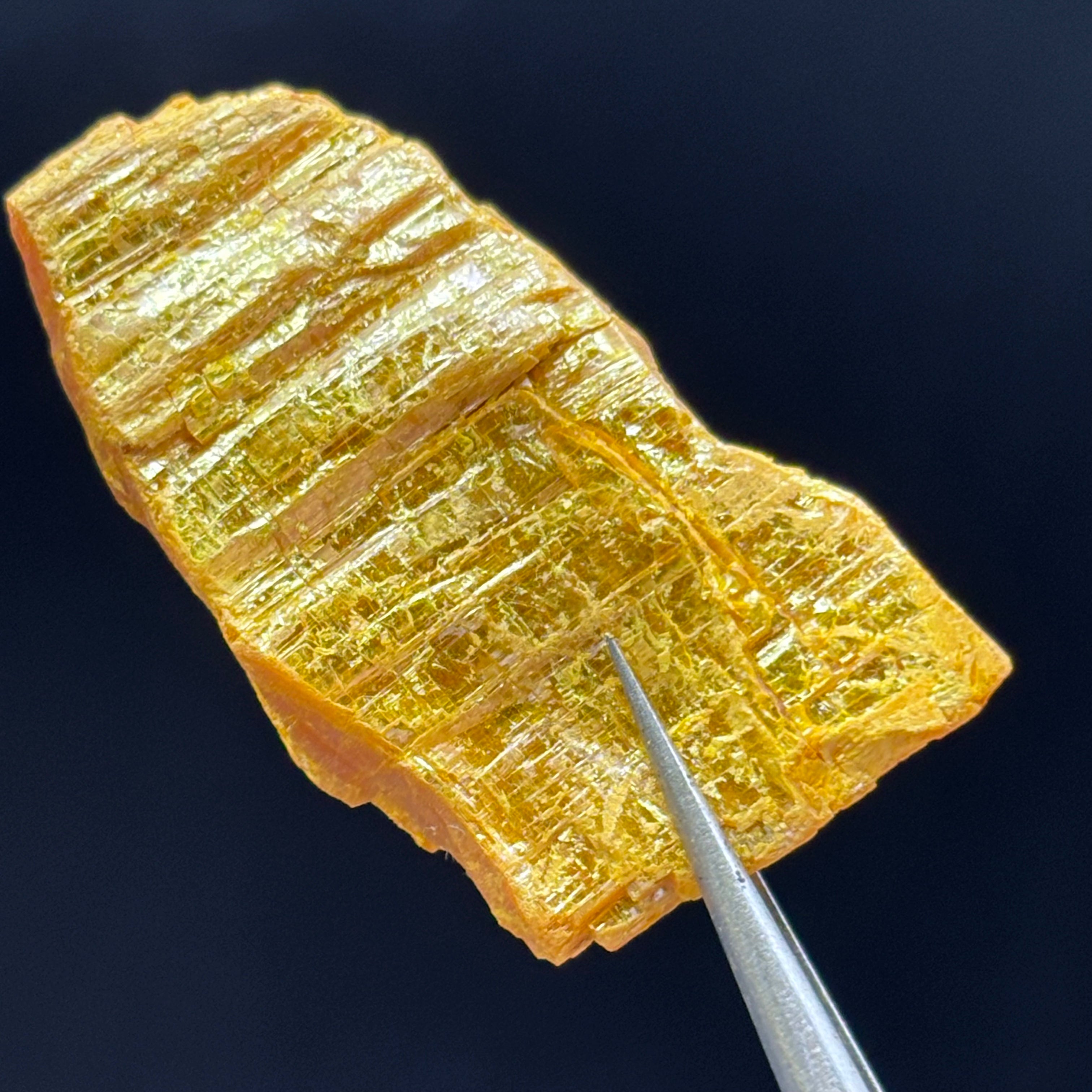 Siberian Orpiment - 065