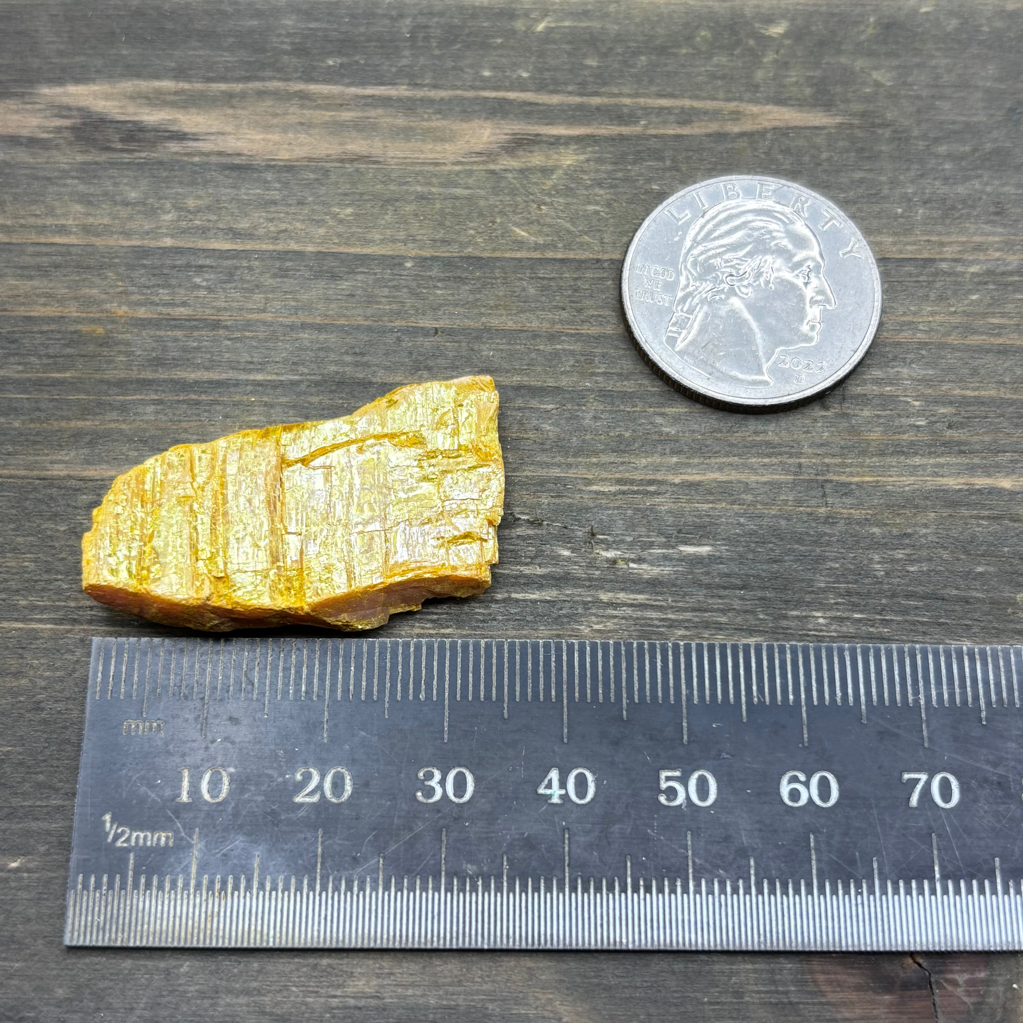 Siberian Orpiment - 065