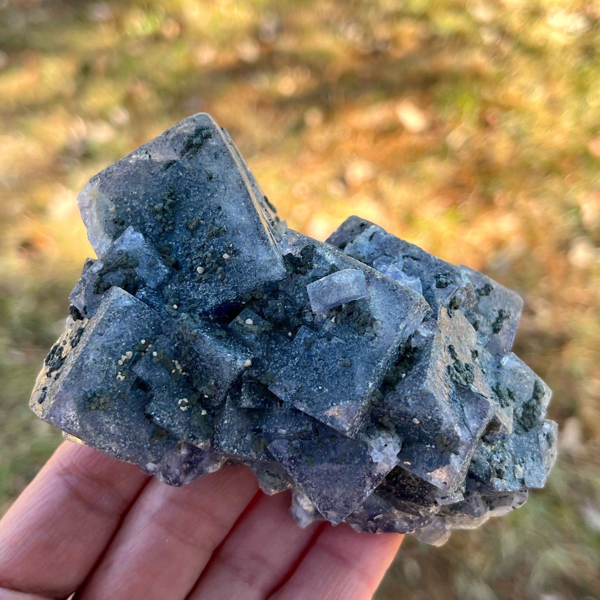 Color Changing Fluorite - 082