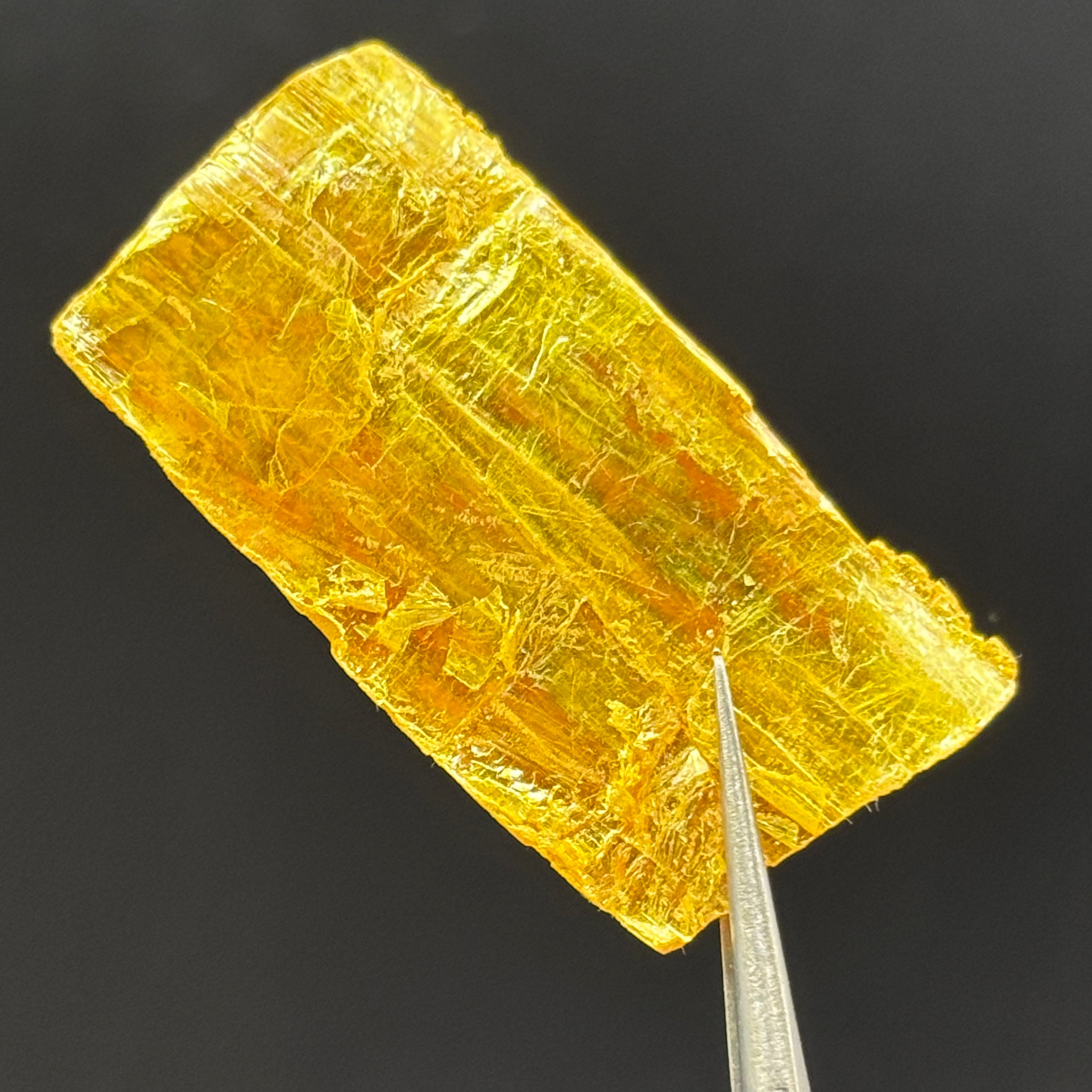 Siberian Orpiment - 066