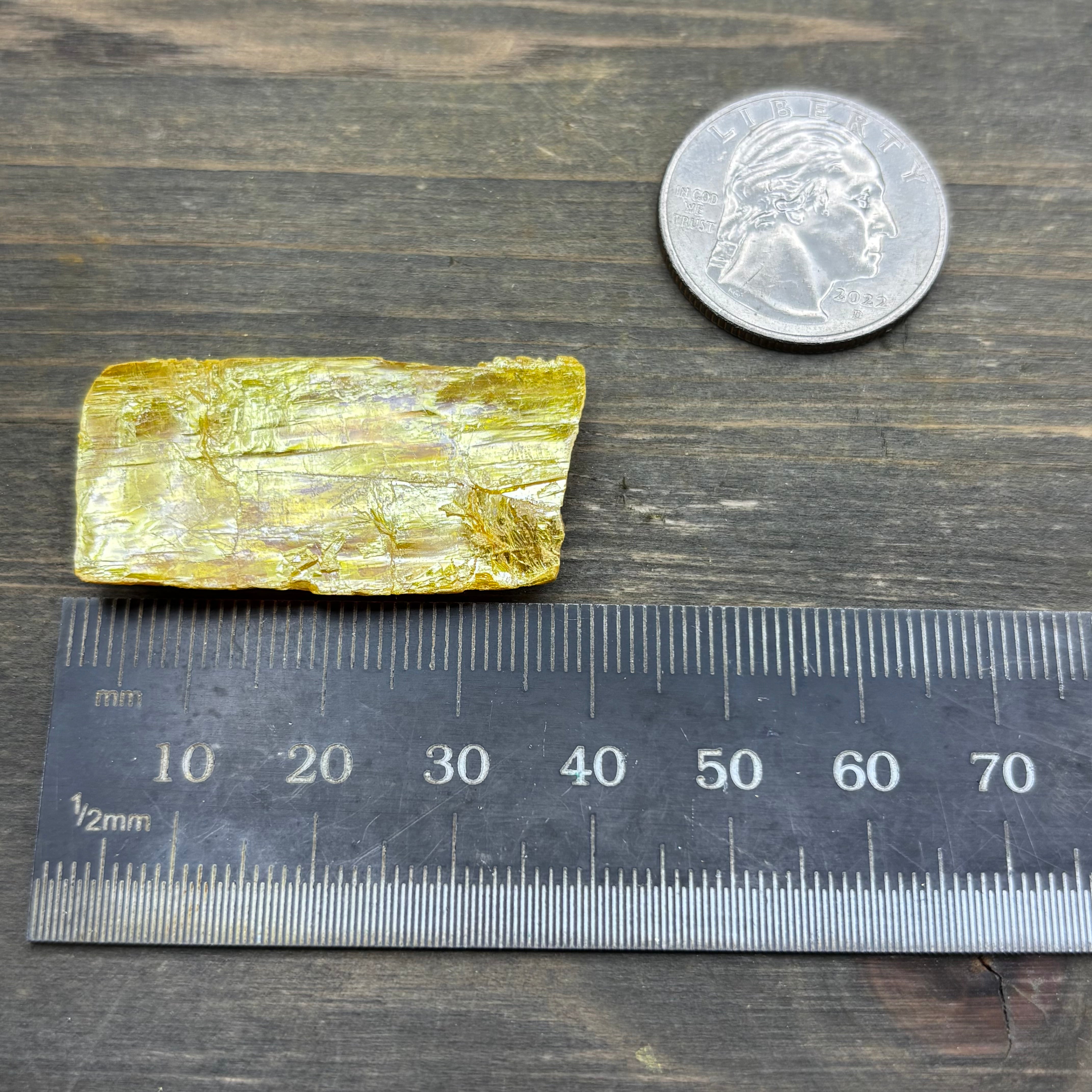 Siberian Orpiment - 066