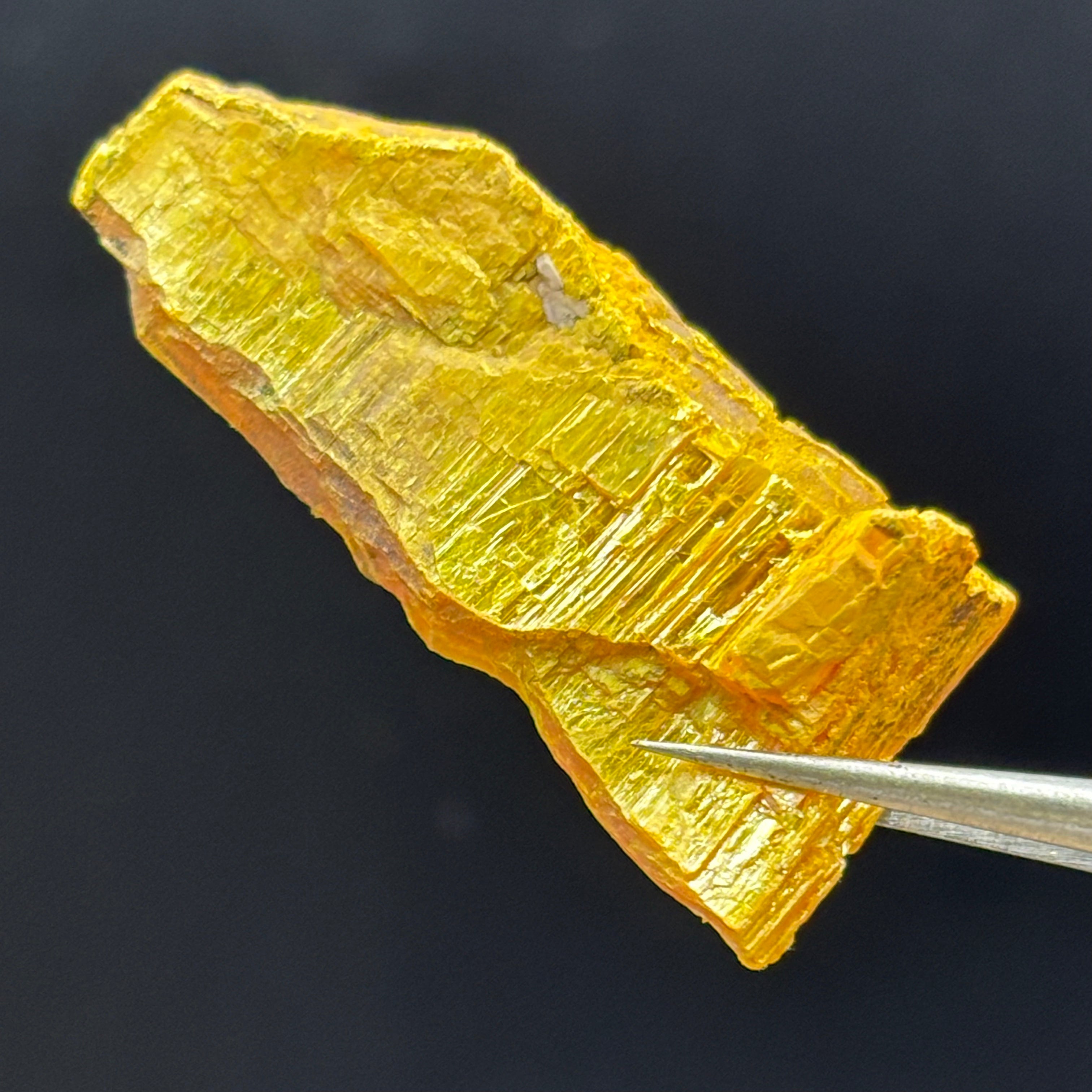 Siberian Orpiment - 067