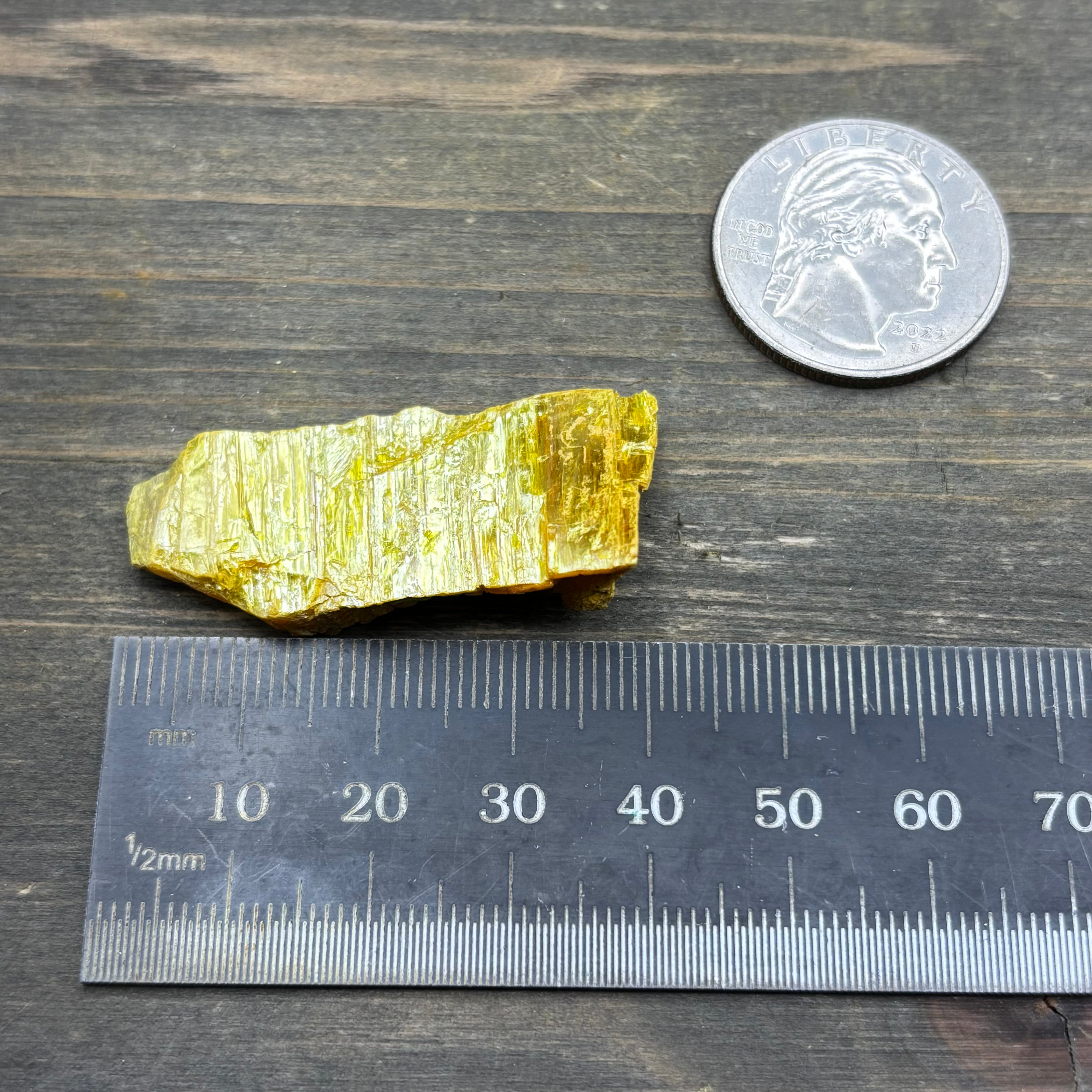 Siberian Orpiment - 067