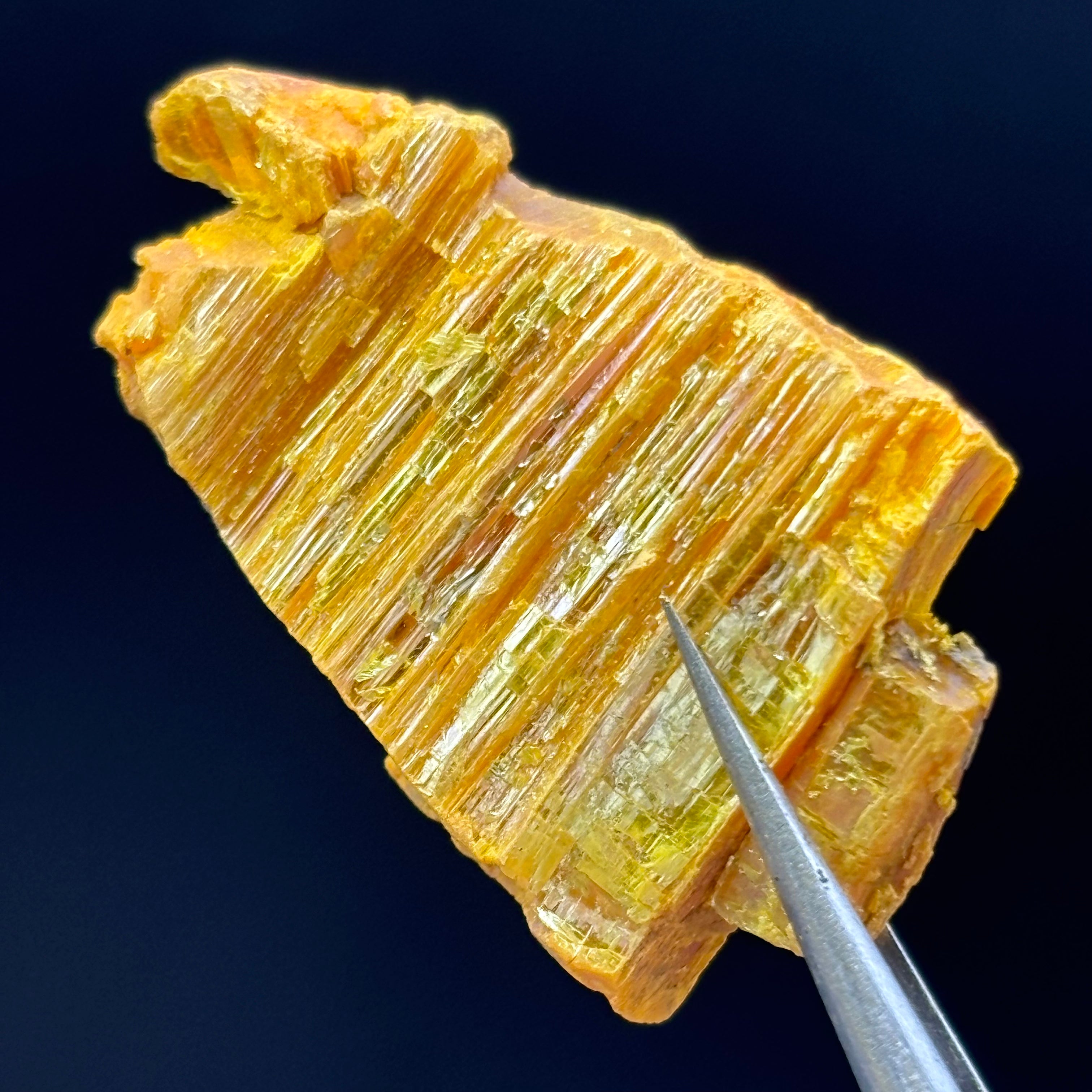 Siberian Orpiment - 068