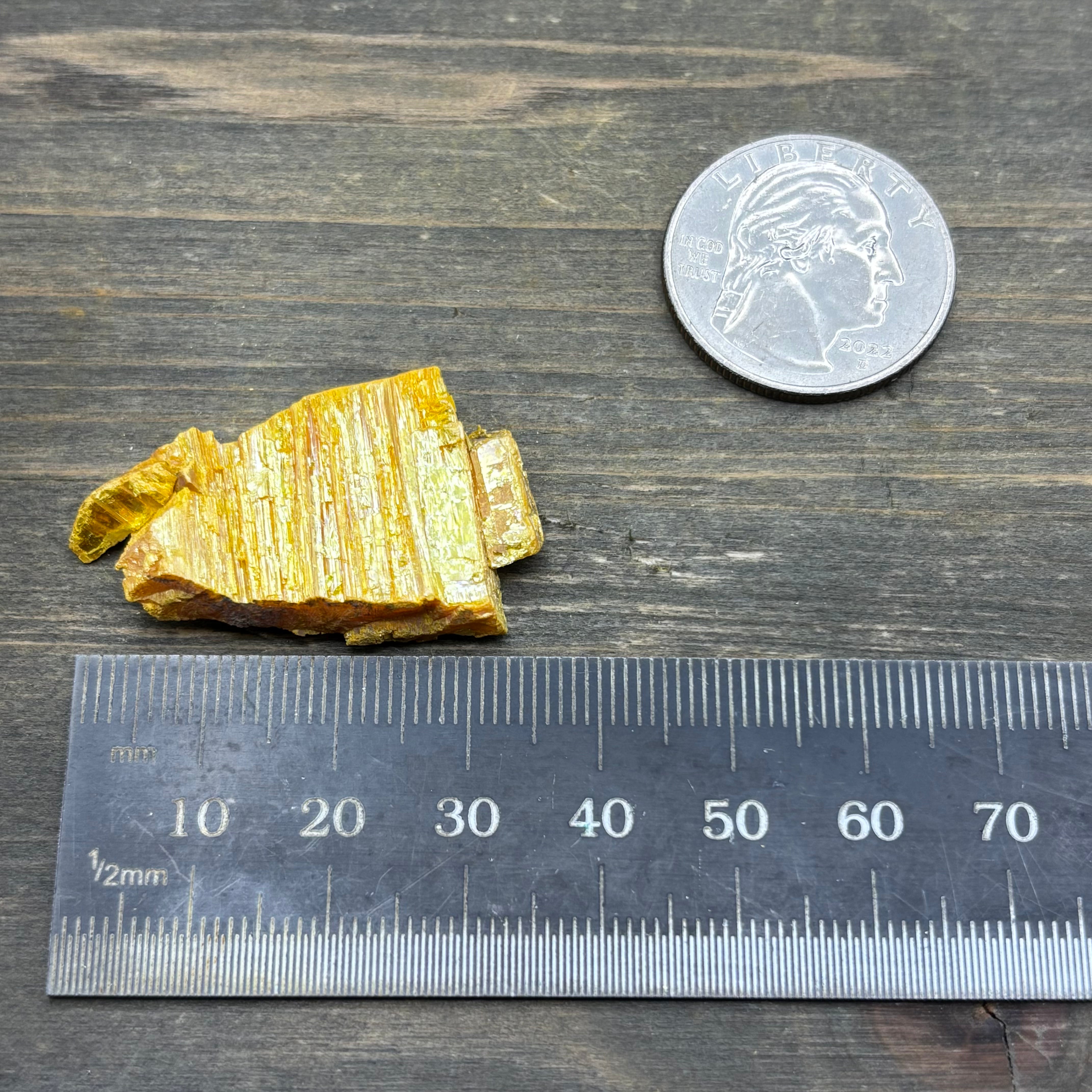 Siberian Orpiment - 068