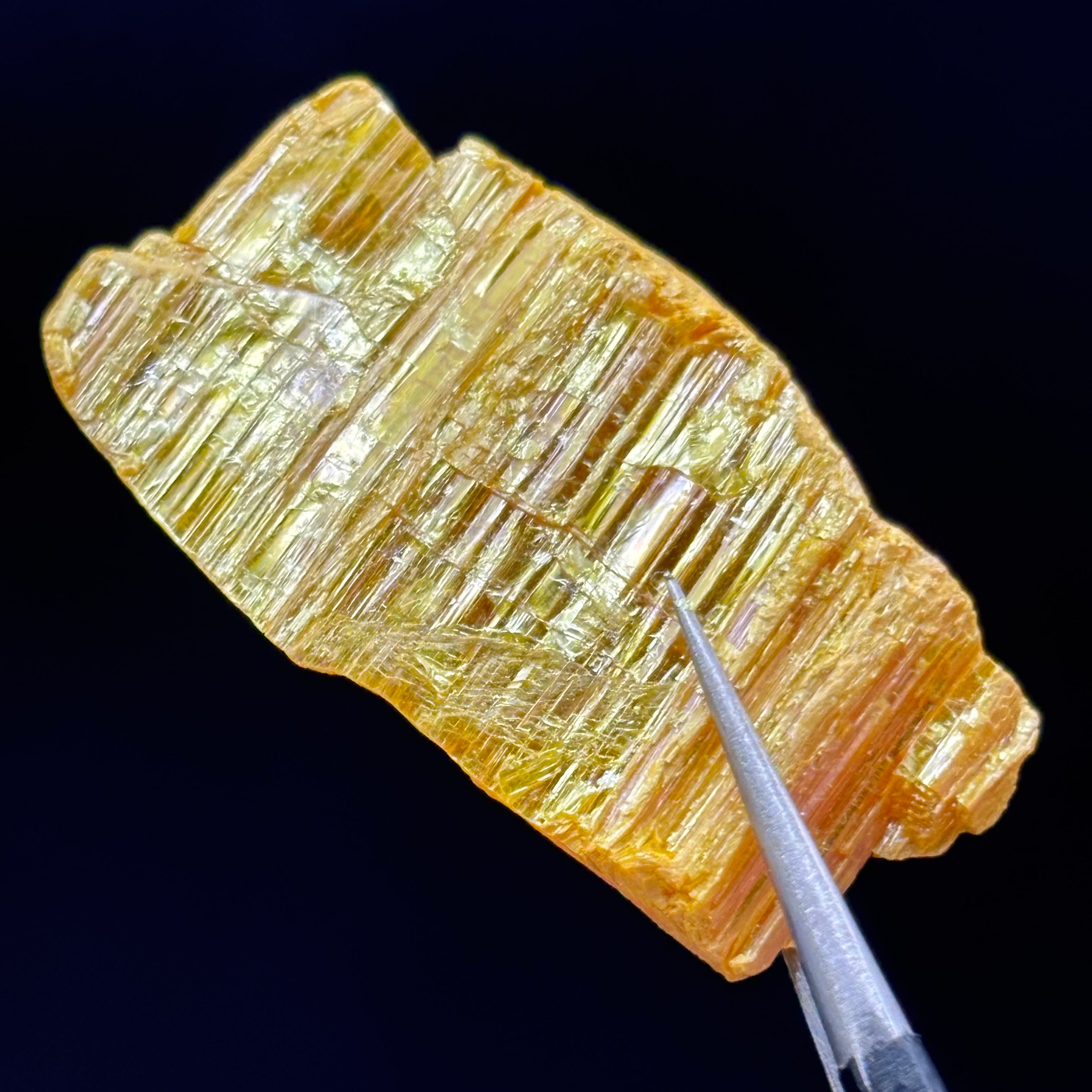 Siberian Orpiment - 069