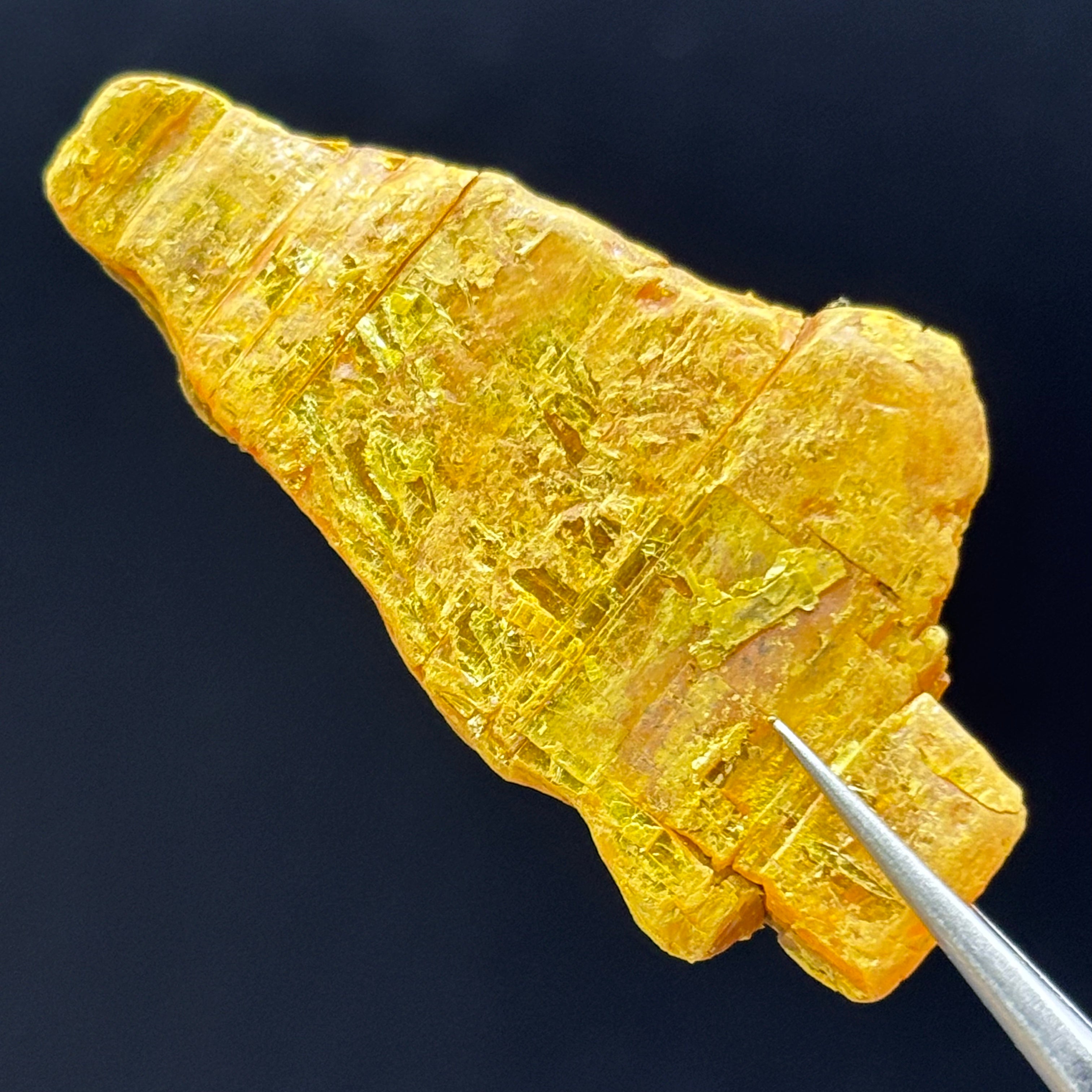 Siberian Orpiment - 071