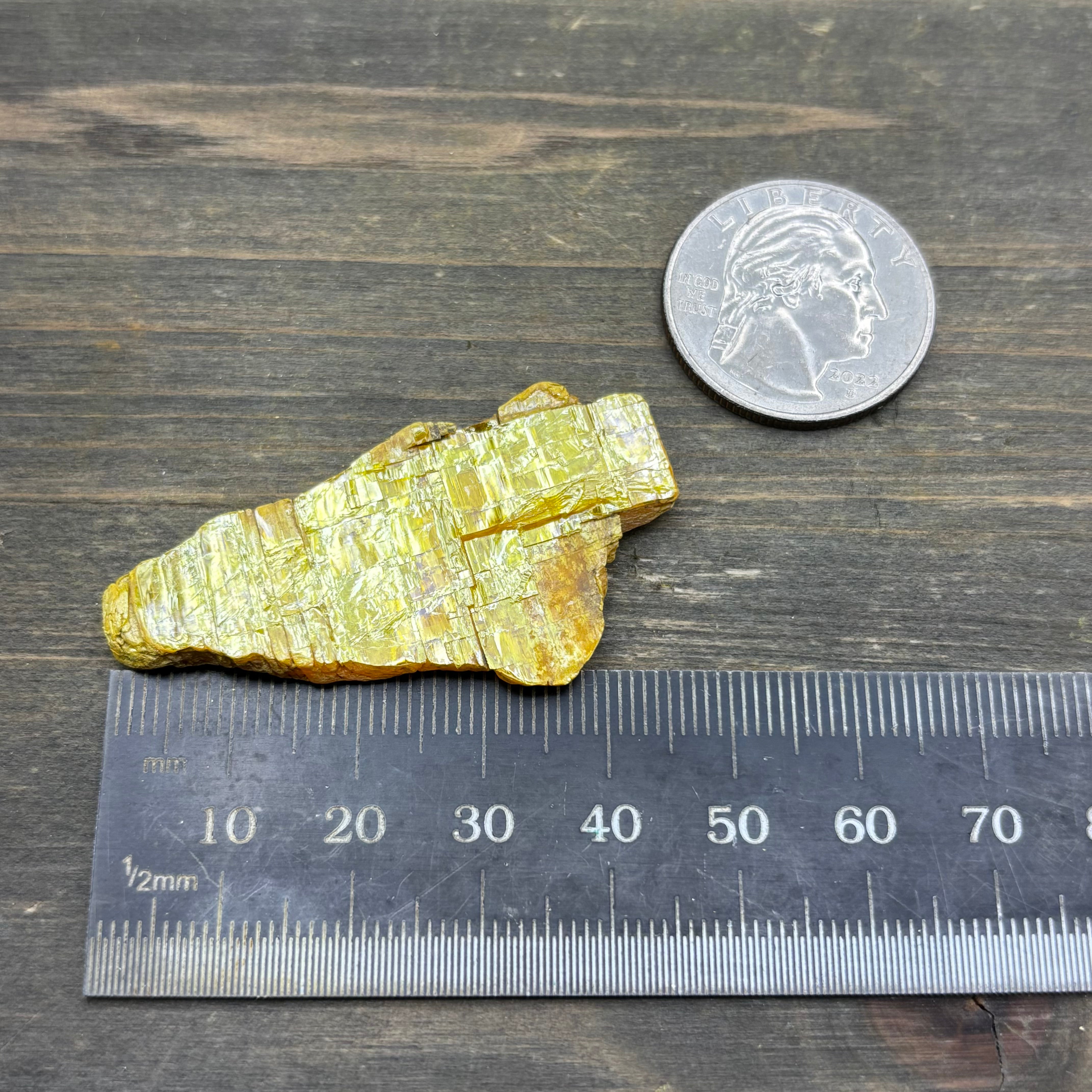 Siberian Orpiment - 071