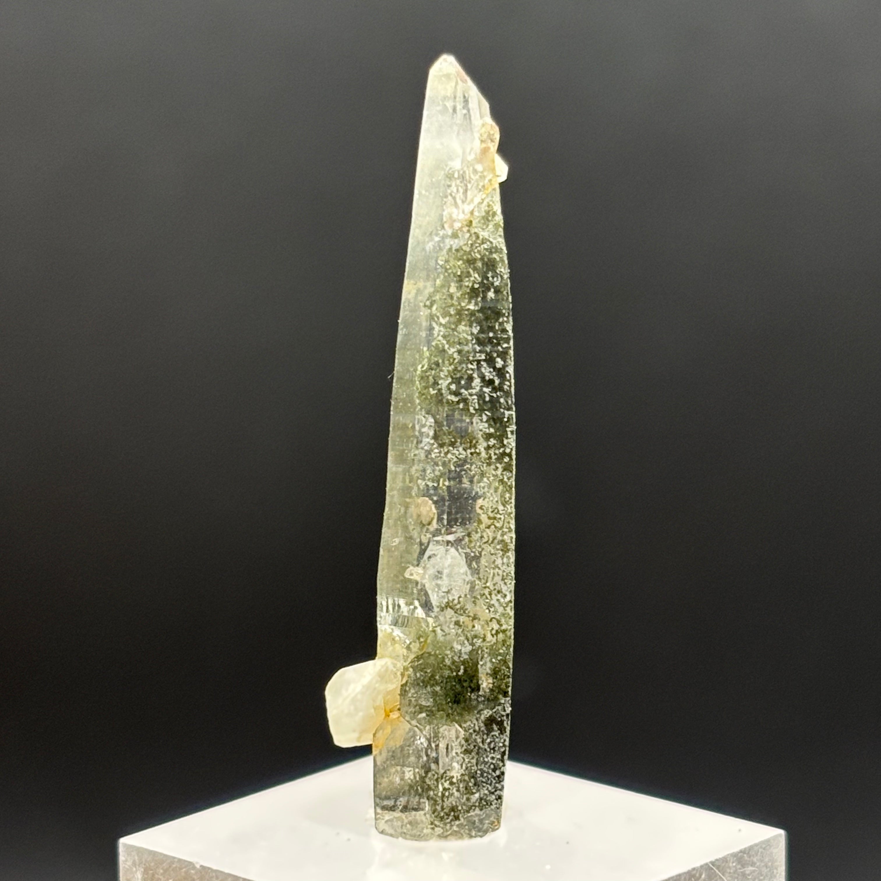 Himalayan Chlorite Quartz Point - 113