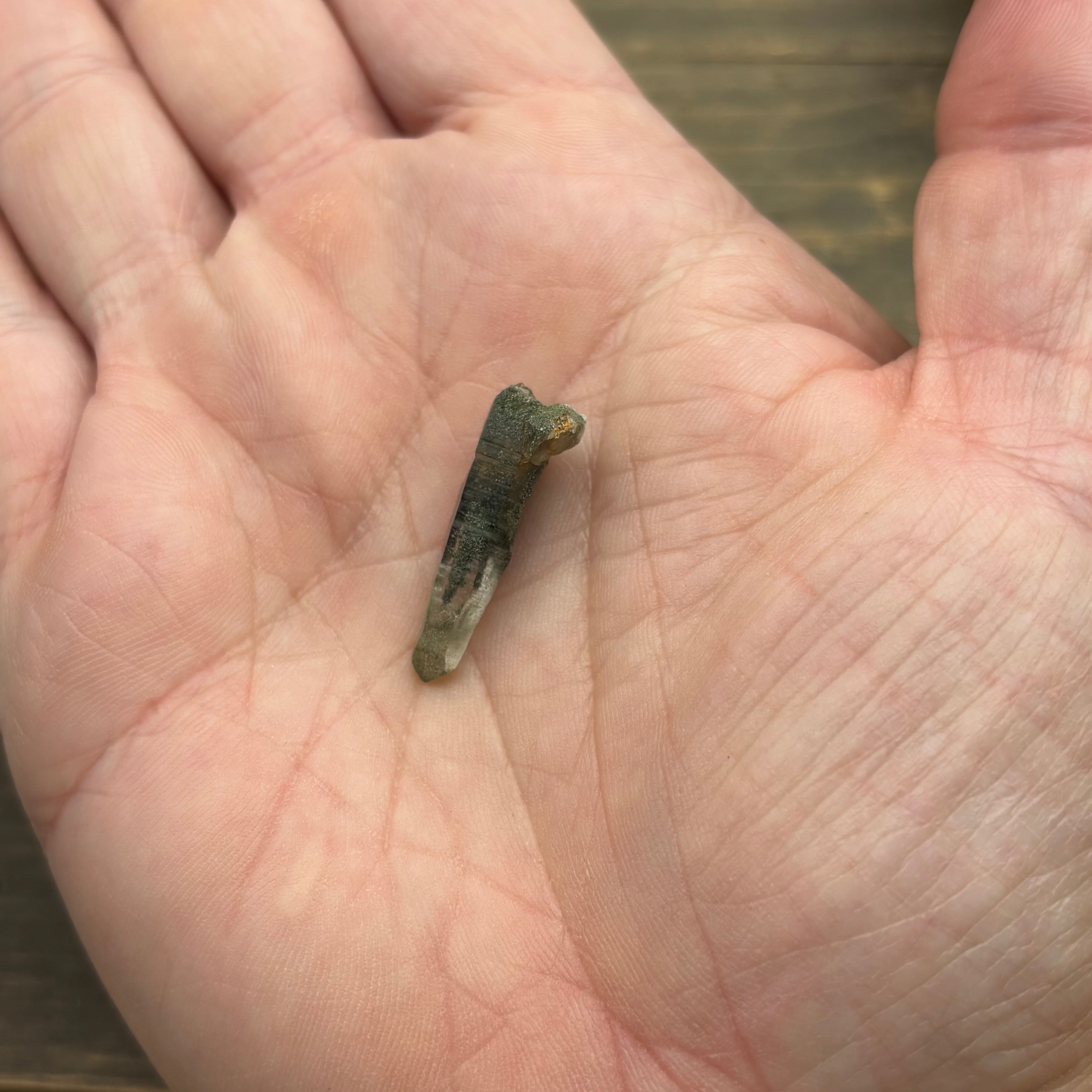 Himalayan Chlorite Quartz Point - 117