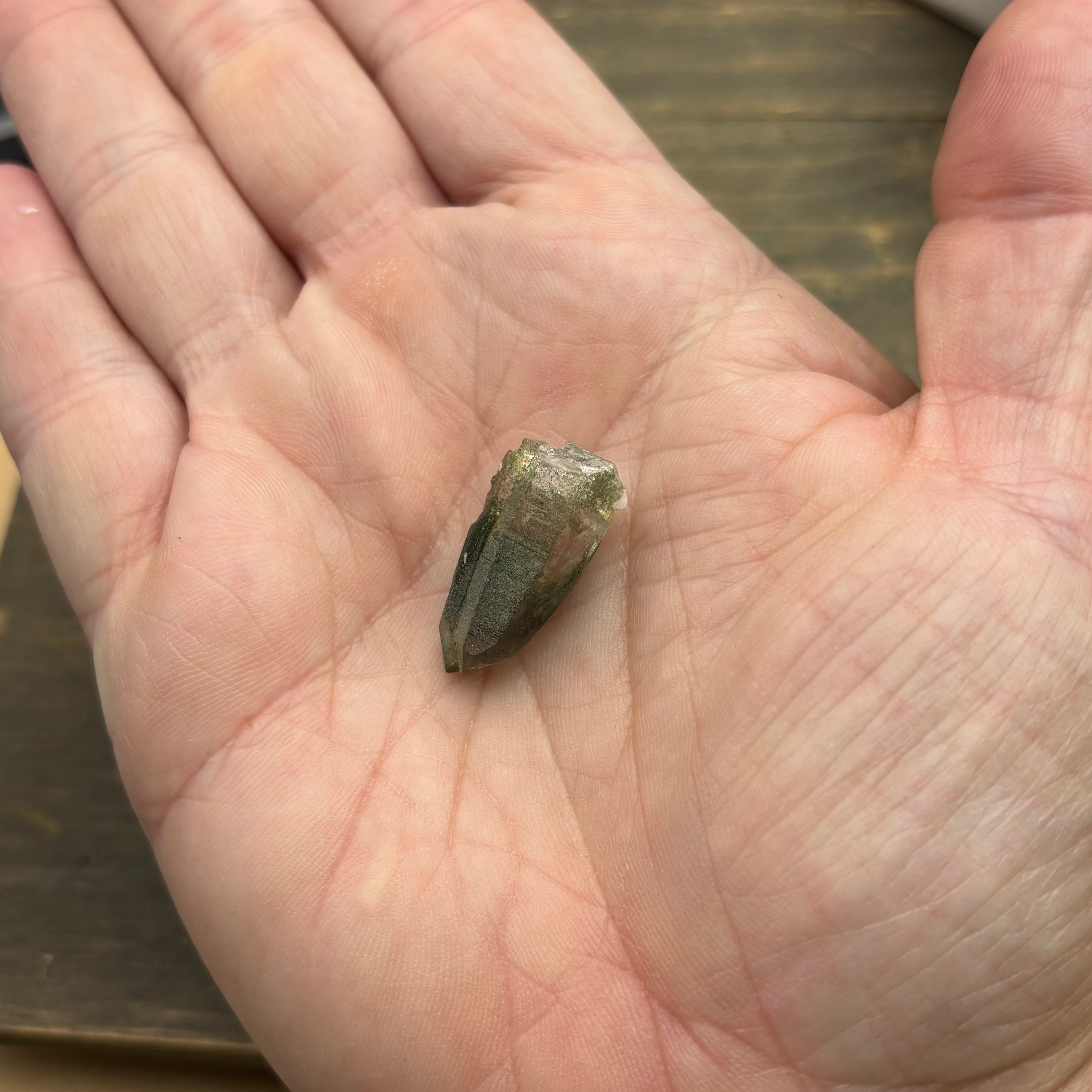 Himalayan Chlorite Quartz Point - 119