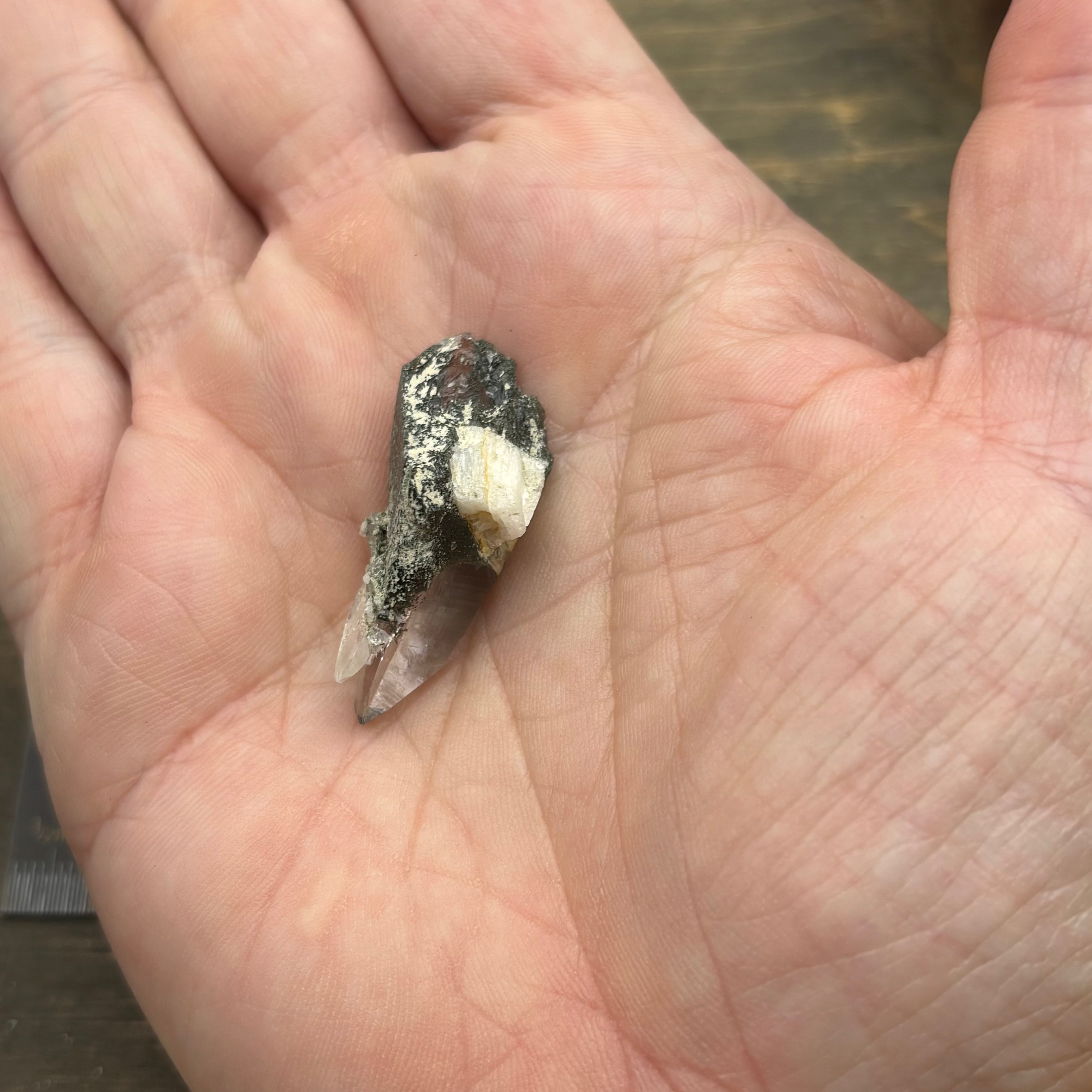 Himalayan Chlorite Quartz Point - 139