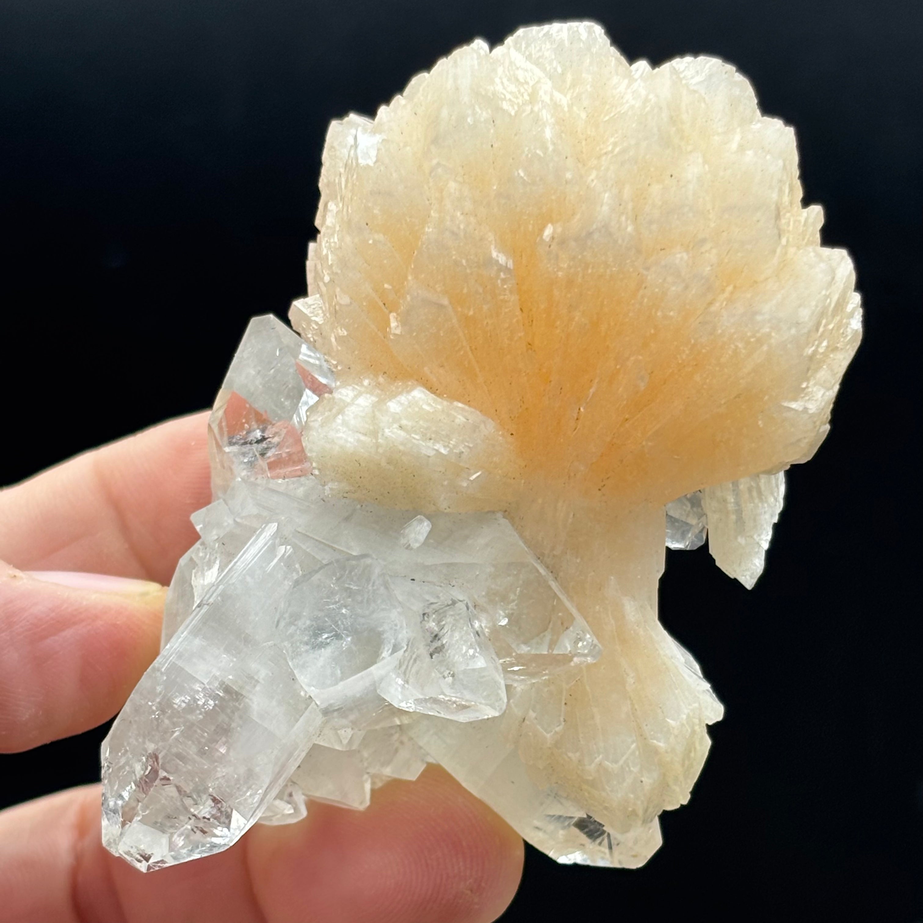 Apophyllite Crystal - 719