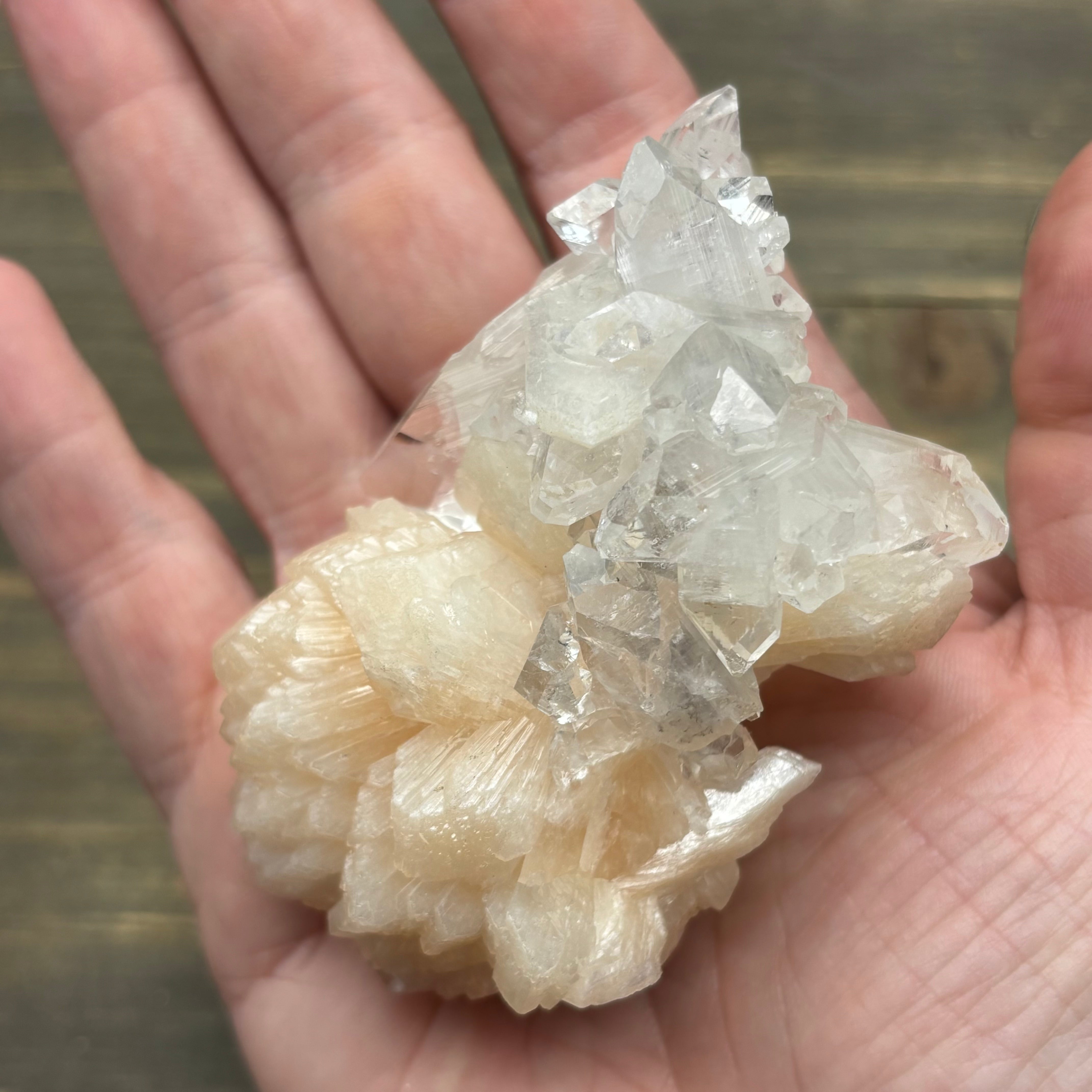 Apophyllite Crystal - 719