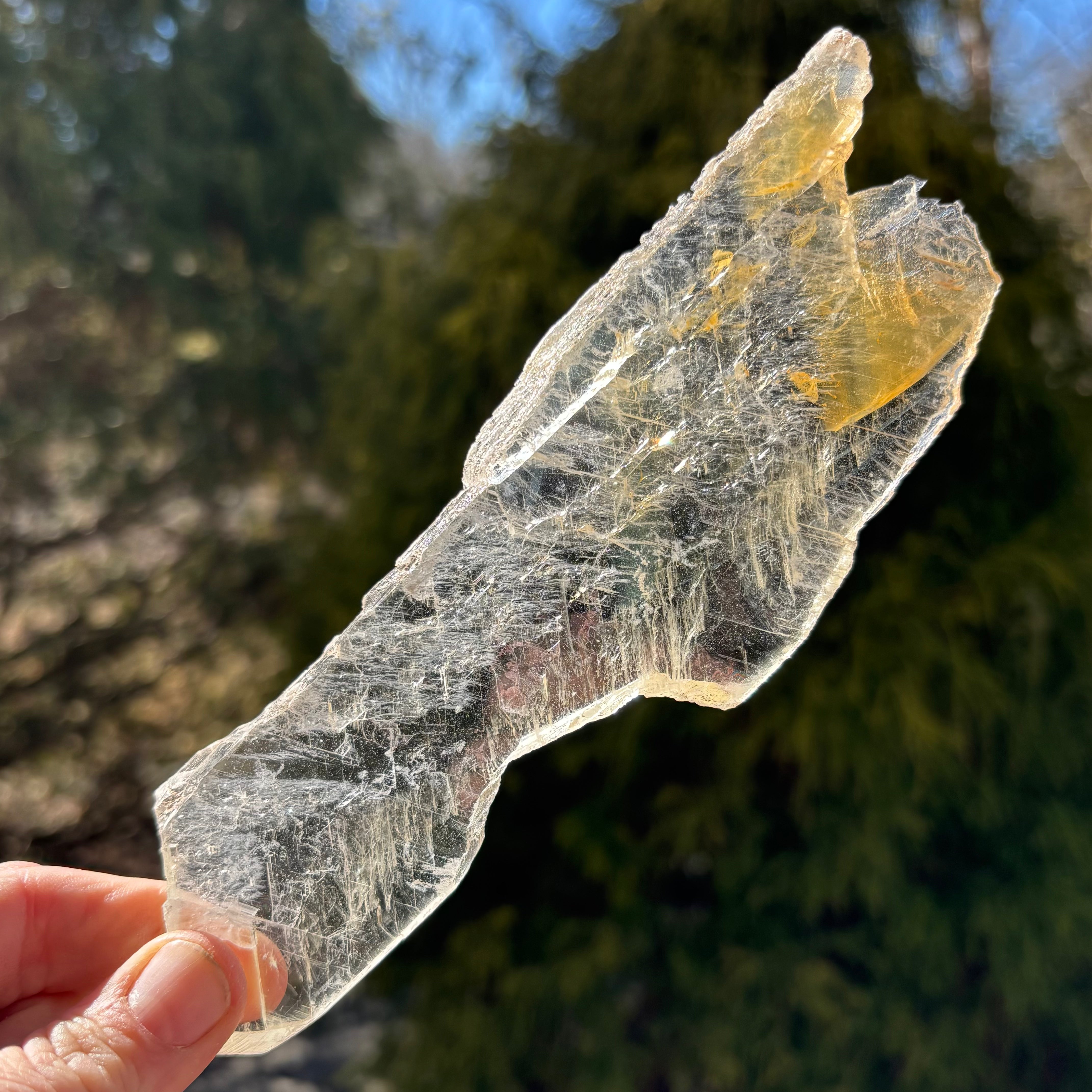 Golden Selenite Window - 529