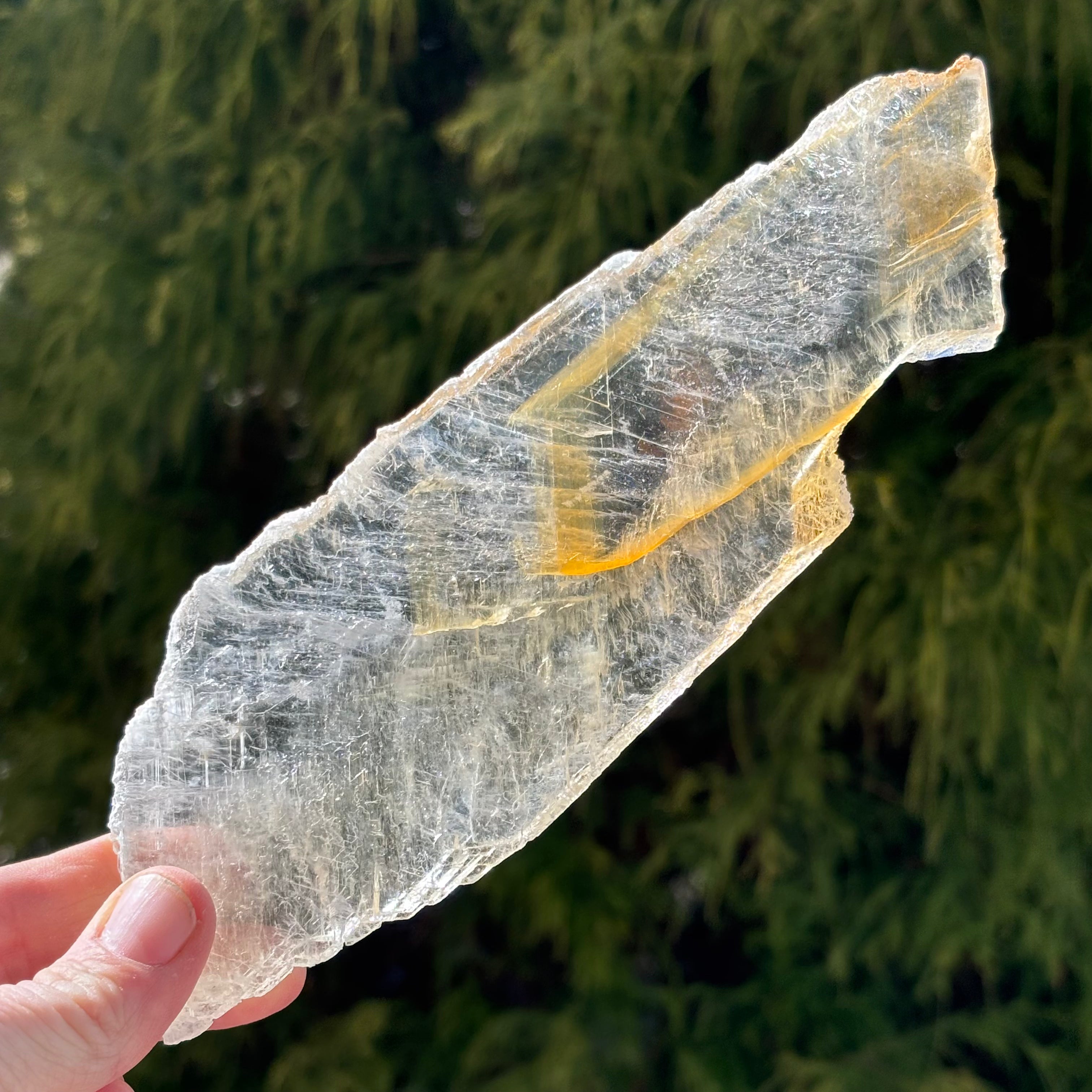 Golden Selenite Window - 530