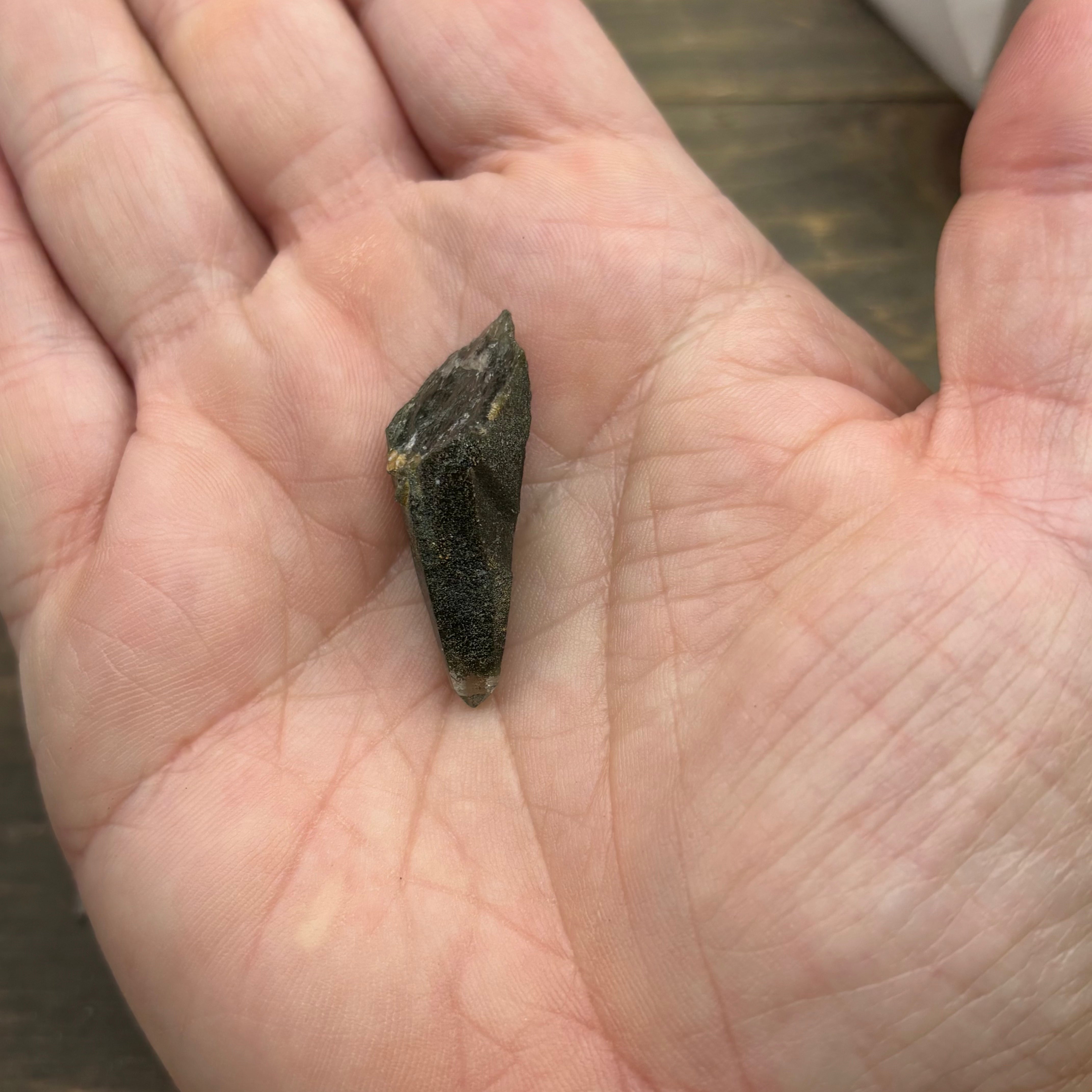 Himalayan Chlorite Quartz Point - 149