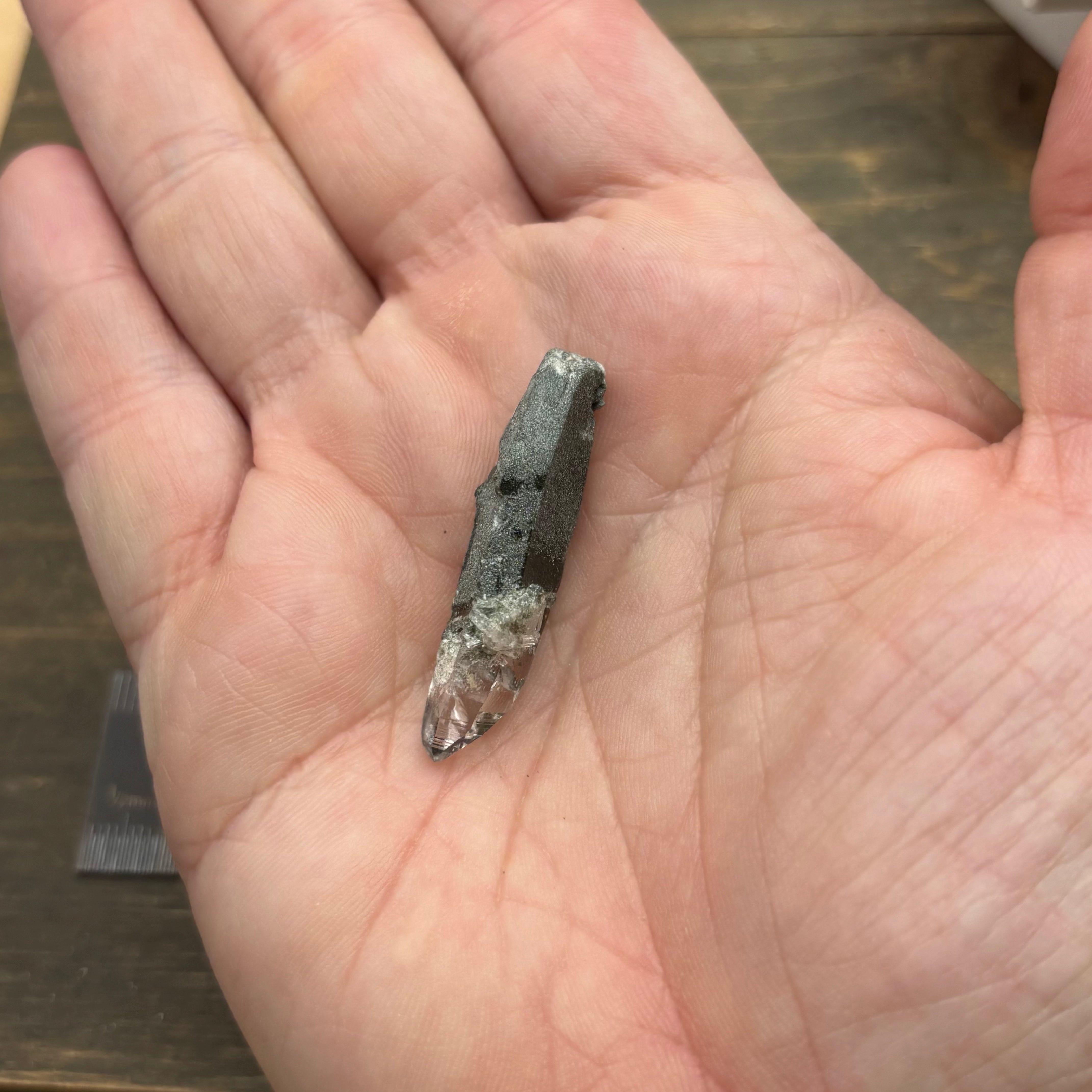 Himalayan Chlorite Quartz Point - 156