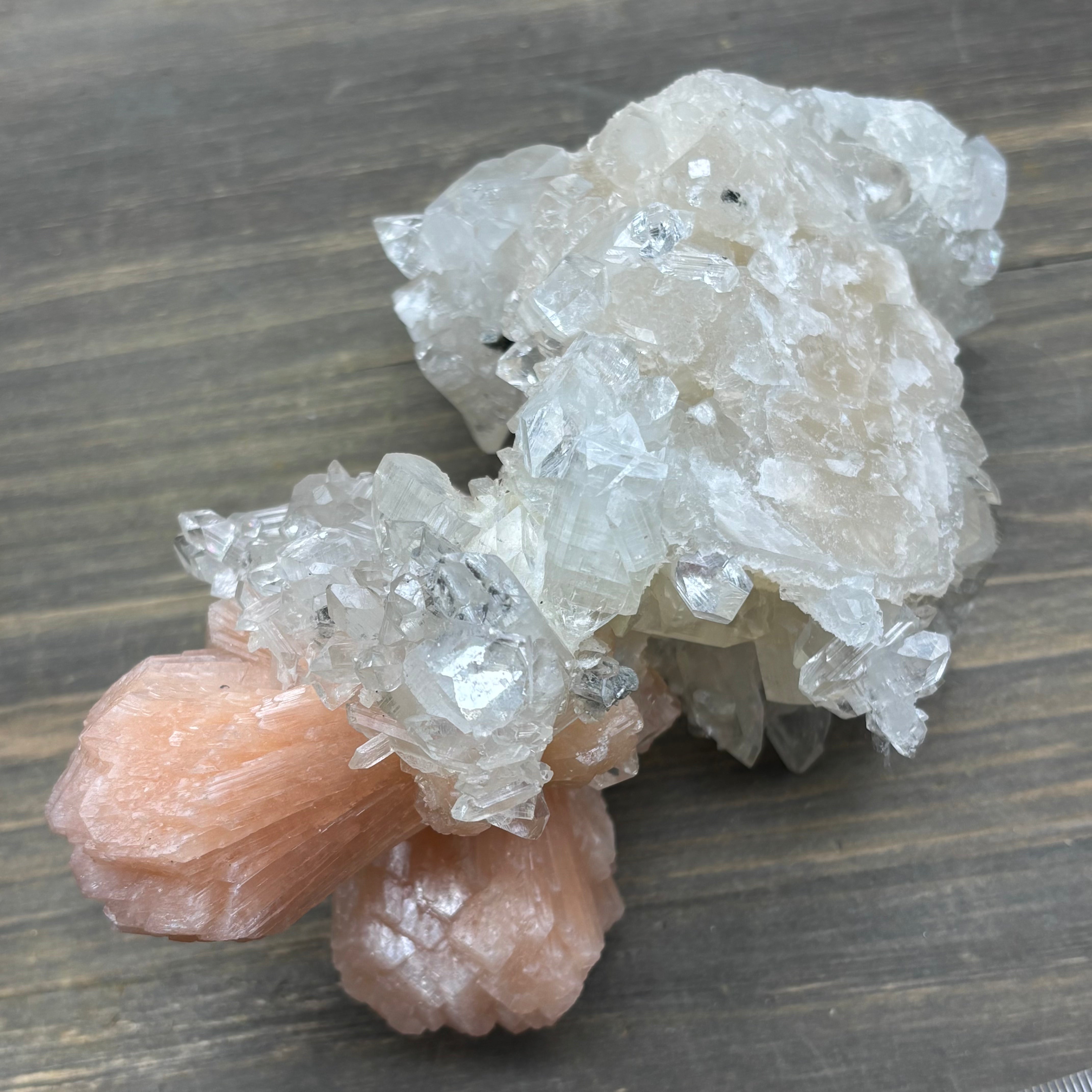 Apophyllite Crystal - 735