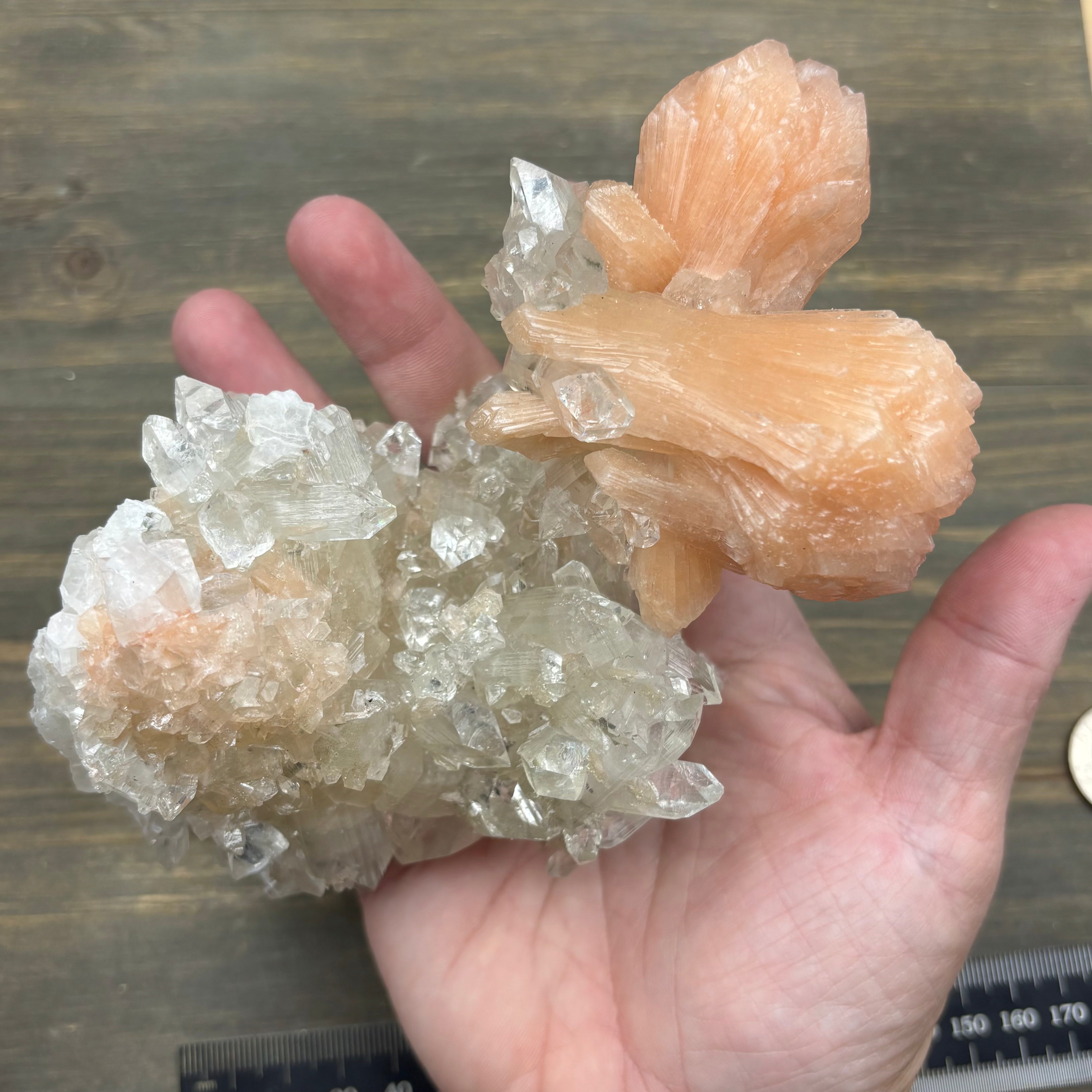 Apophyllite Crystal - 735