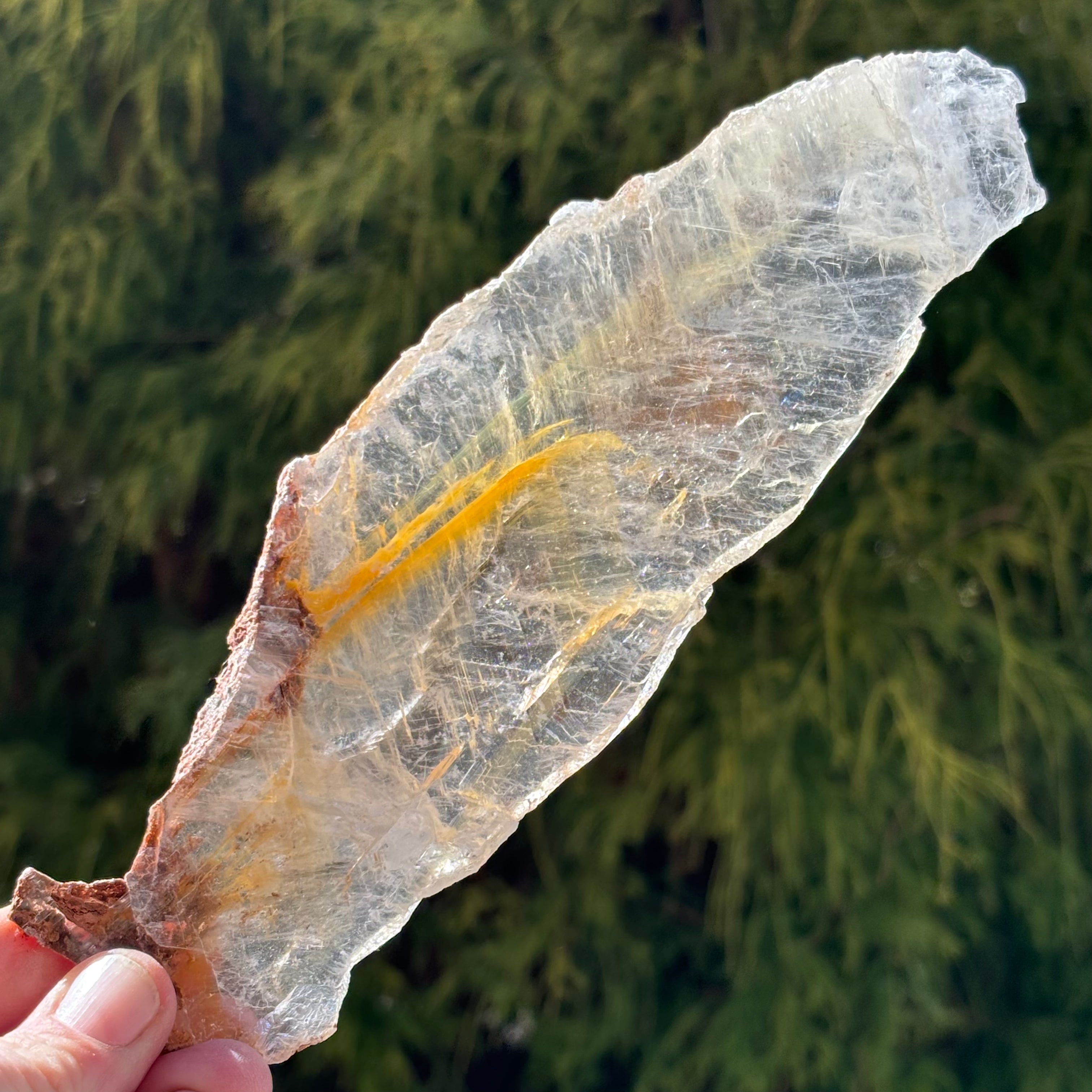 Golden Selenite Window - 541